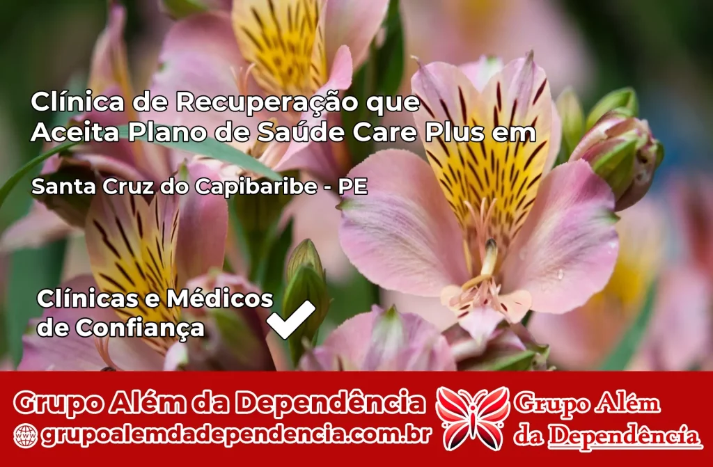 Clínica de Recuperação que Aceita Plano de Saúde Care Plus em Santa Cruz do Capibaribe – PE 1 Clínica Care Plus em Santa Cruz do Capibaribe – PE