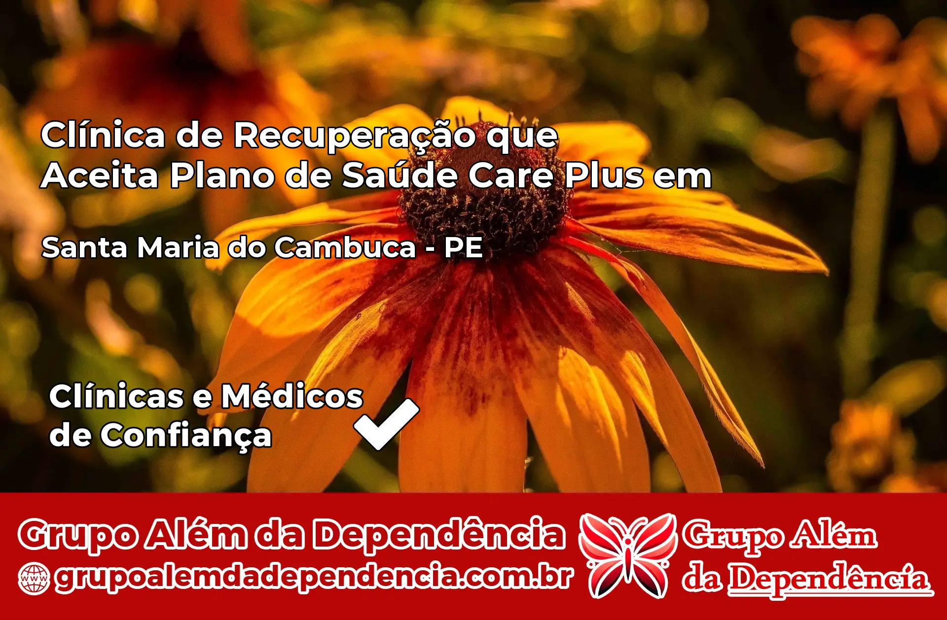 Clínica Care Plus em Santa Maria do Cambucá – PE