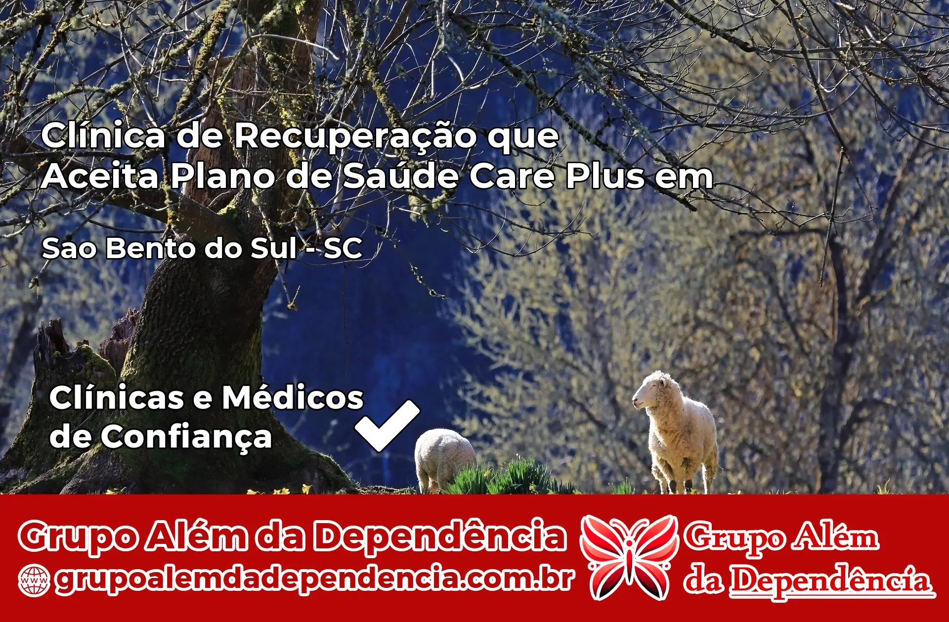 Clínica Care Plus em São Bento do Sul – SC