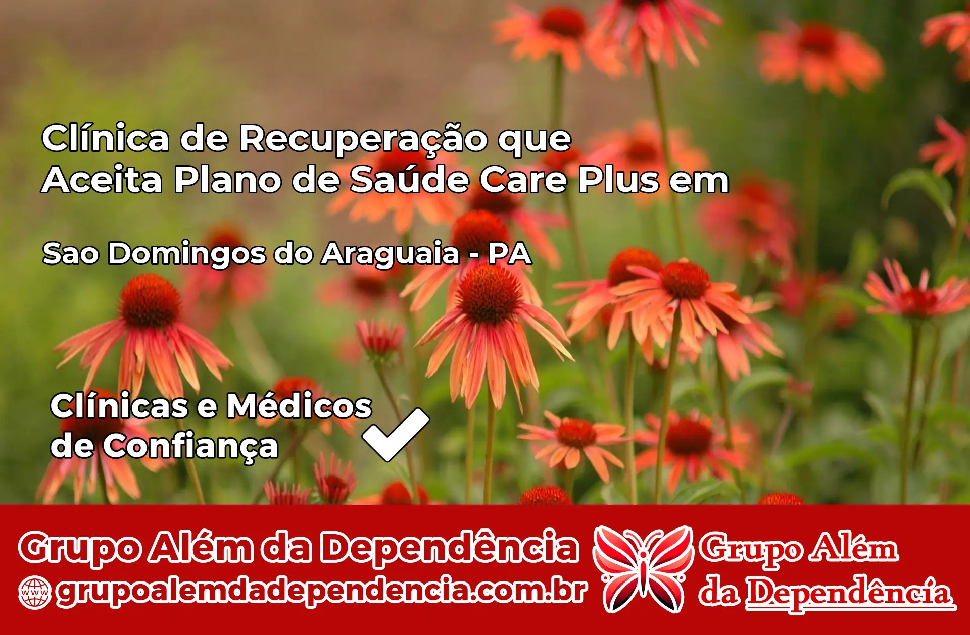 Clínica Care Plus em São Domingos do Araguaia – PA