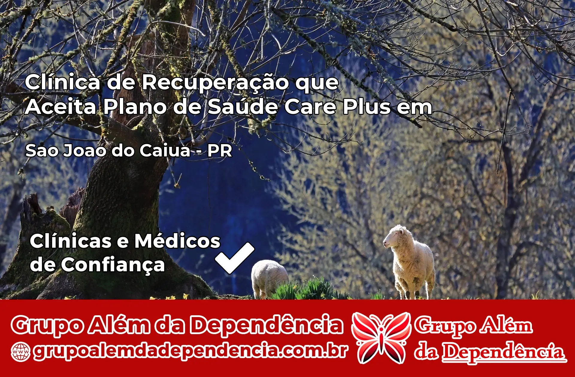 Clínica Care Plus em São José da Boa Vista – PR