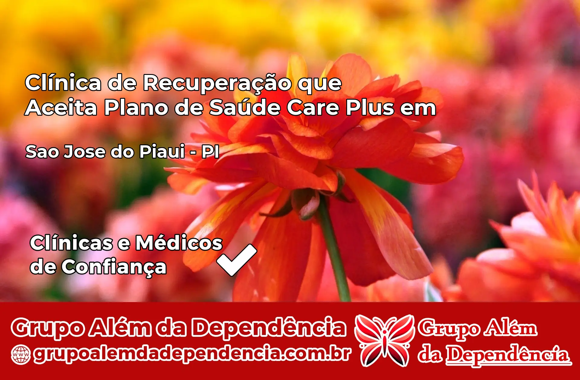 Clínica Care Plus em São José do Piauí – PI