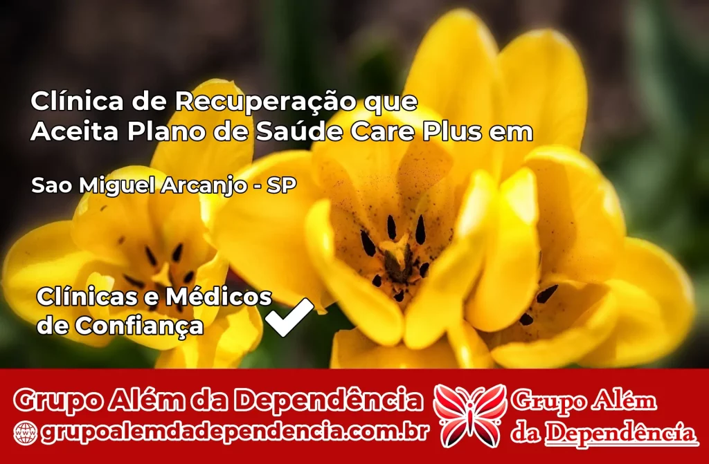 Clínica de Recuperação que Aceita Plano de Saúde Care Plus em São Miguel Arcanjo – SP 1 Clínica Care Plus em São Miguel Arcanjo – SP