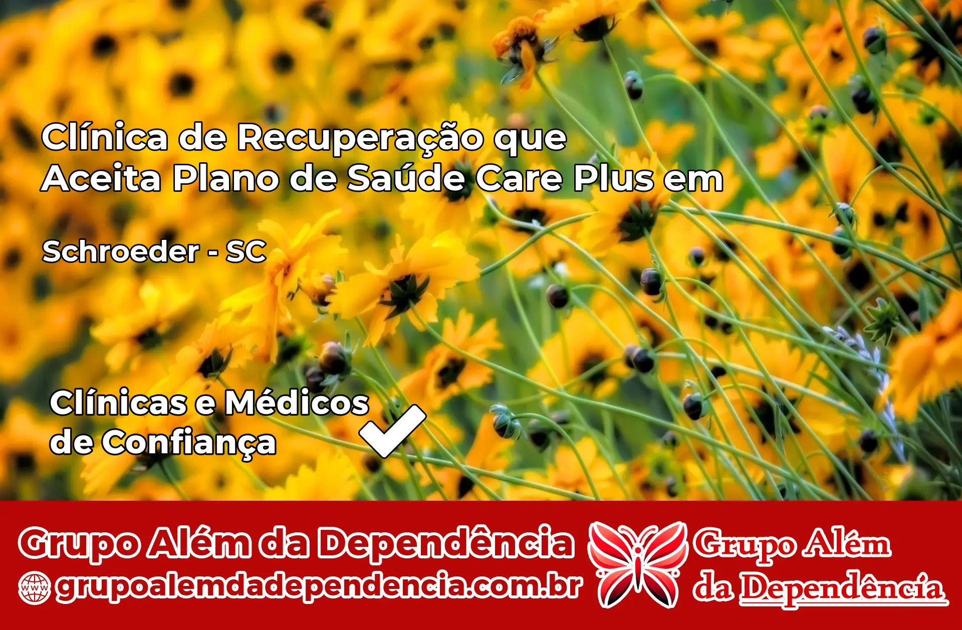 Clínica Care Plus em Schroeder – SC