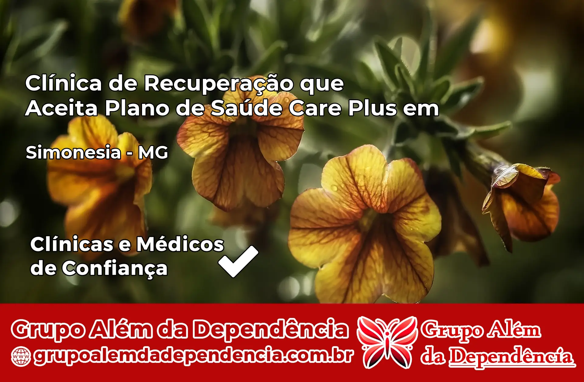 Clínica Care Plus em Simonésia – MG