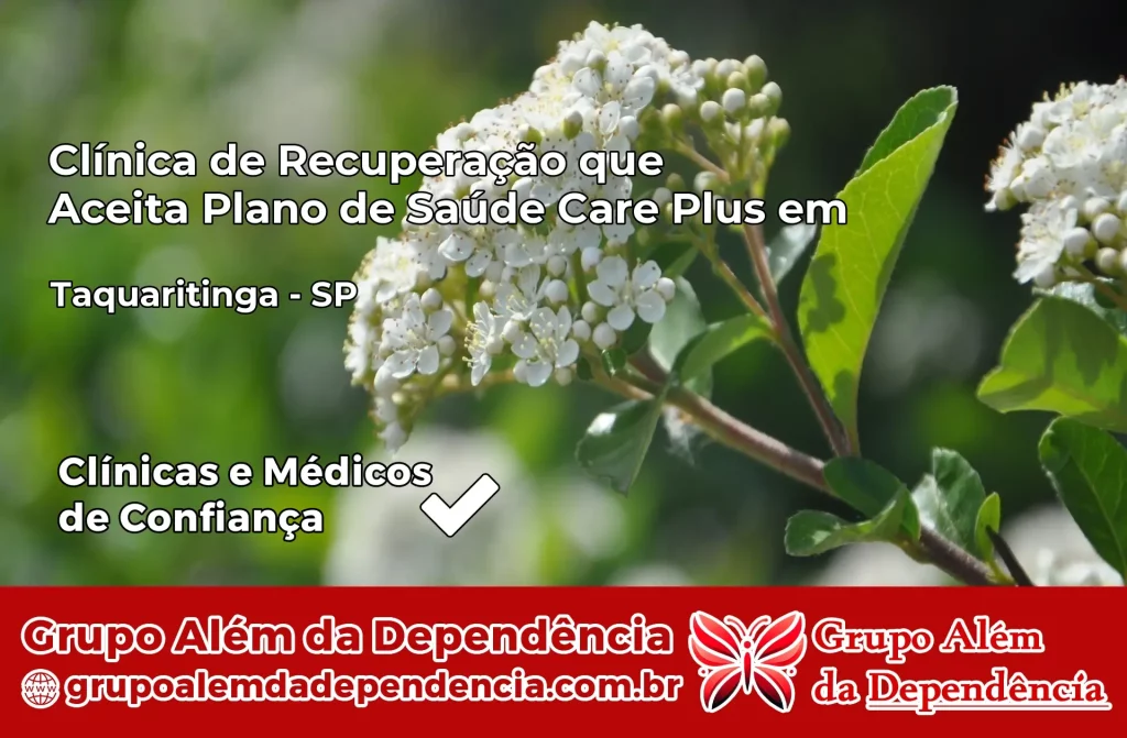 Clínica de Recuperação que Aceita Plano de Saúde Care Plus em Taquaritinga – SP 1 Clínica Care Plus em Taquaritinga – SP