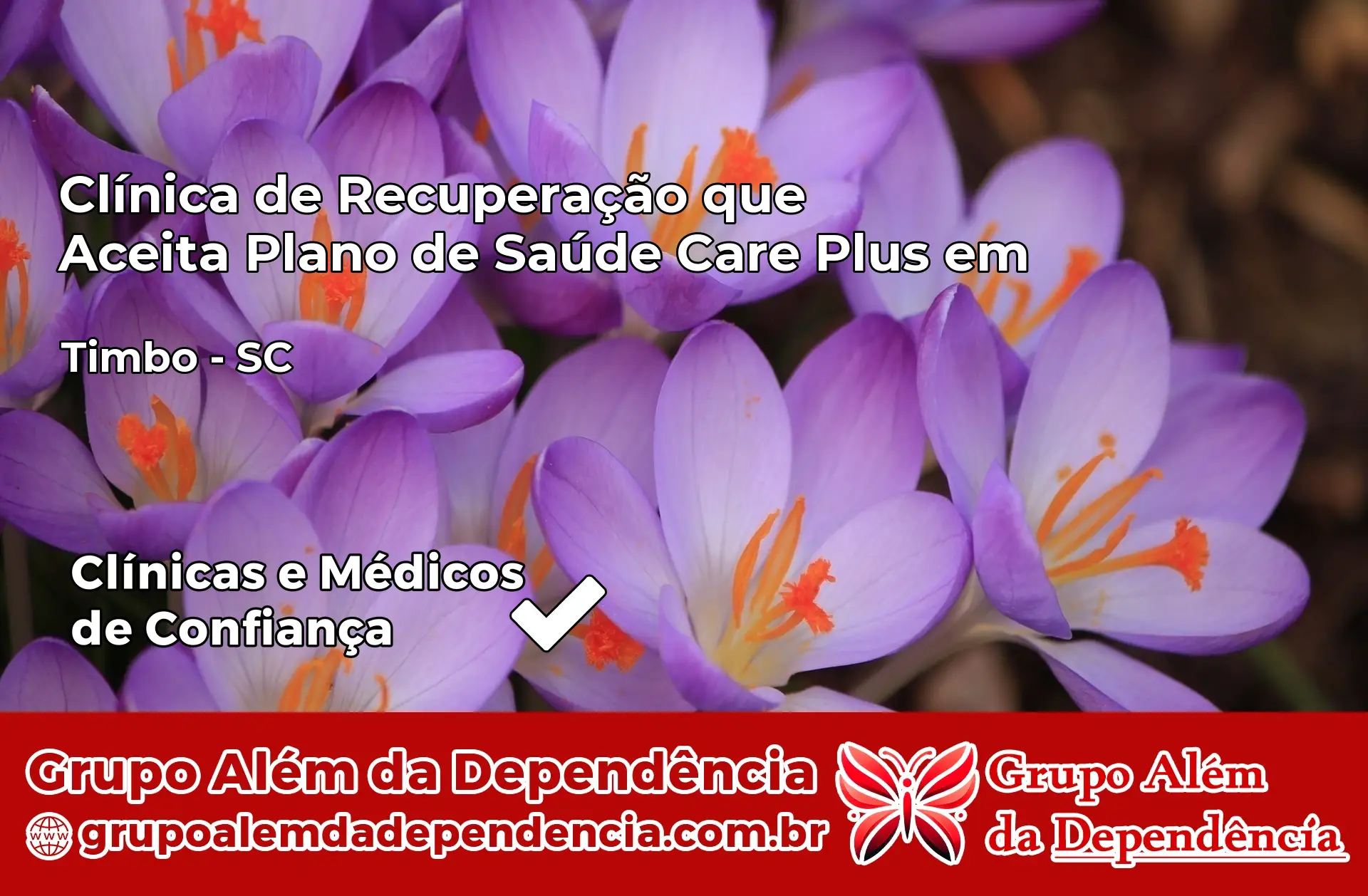 Clínica Care Plus em Timbó – SC