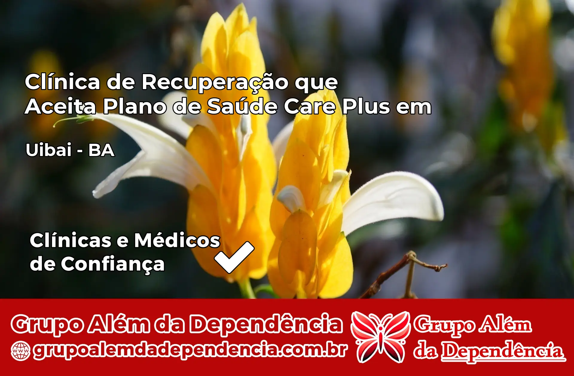 Clínica Care Plus em Uibaí – BA