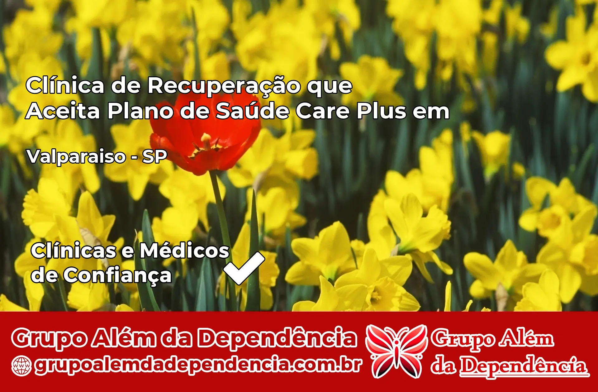 Clínica Care Plus em Valparaíso – SP