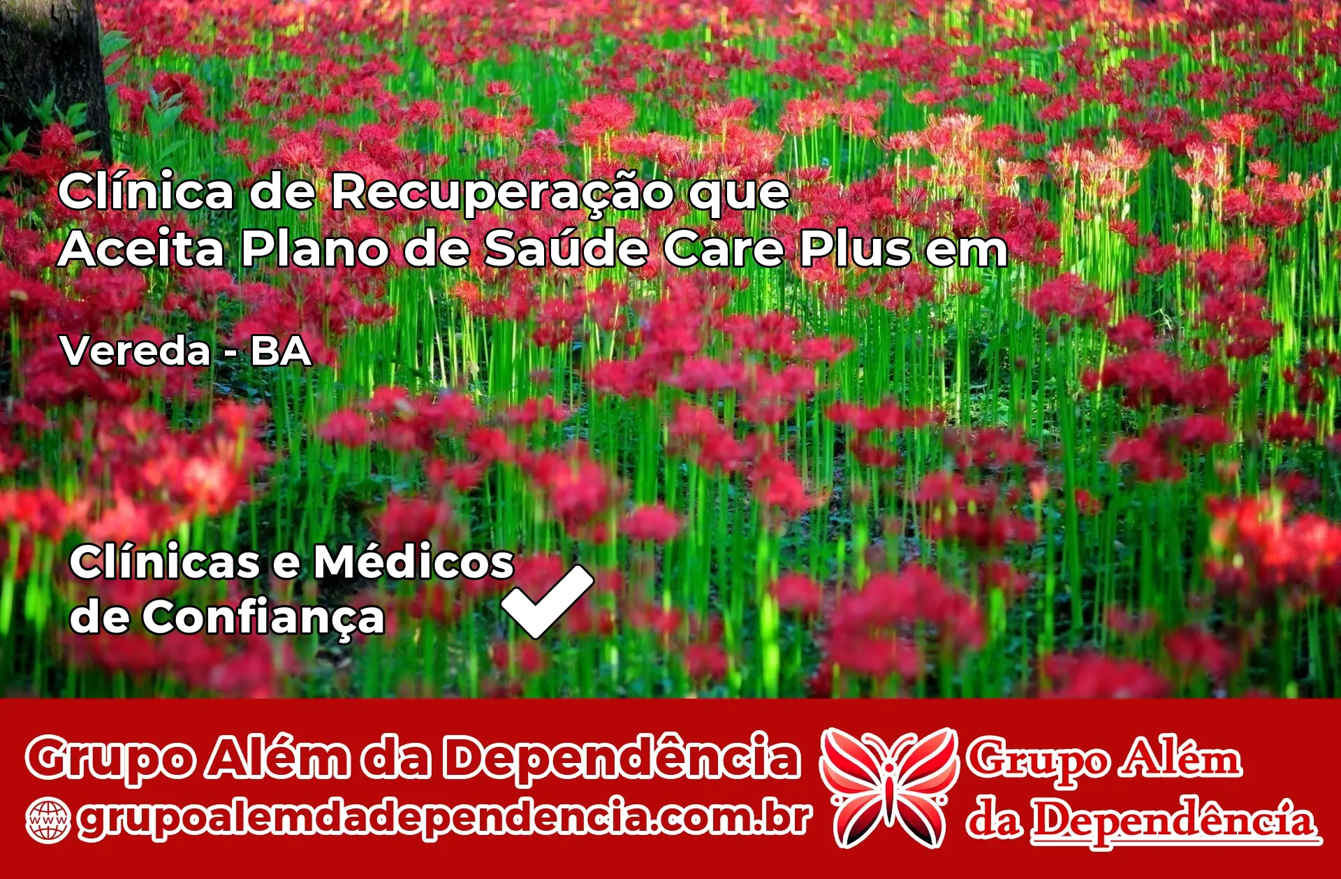 Clínica Care Plus em Vereda – BA