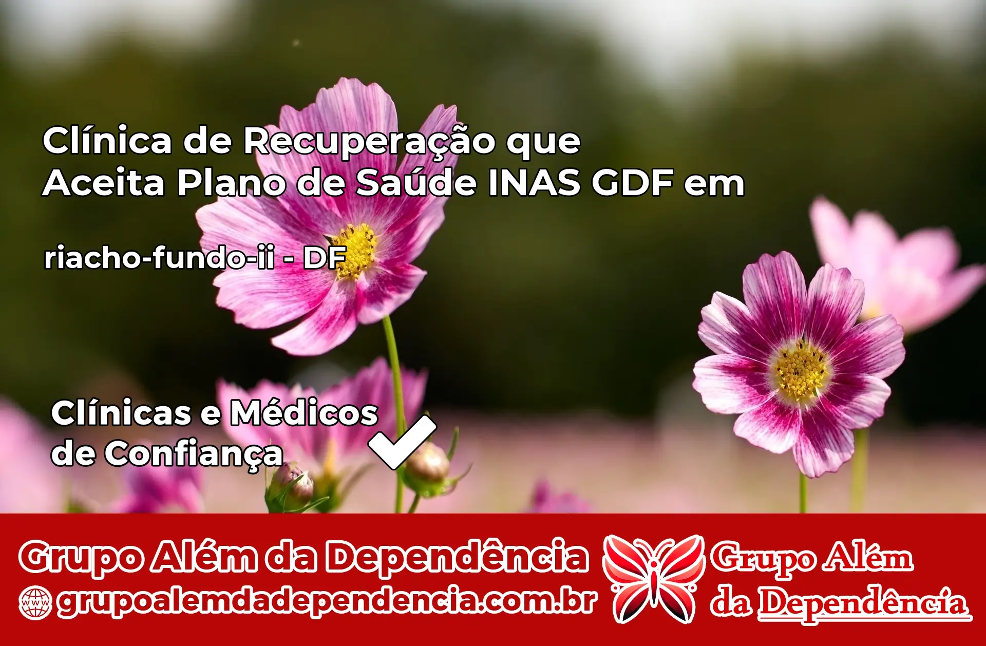 Clínica INAS GDF em riacho-fundo-ii – DF
