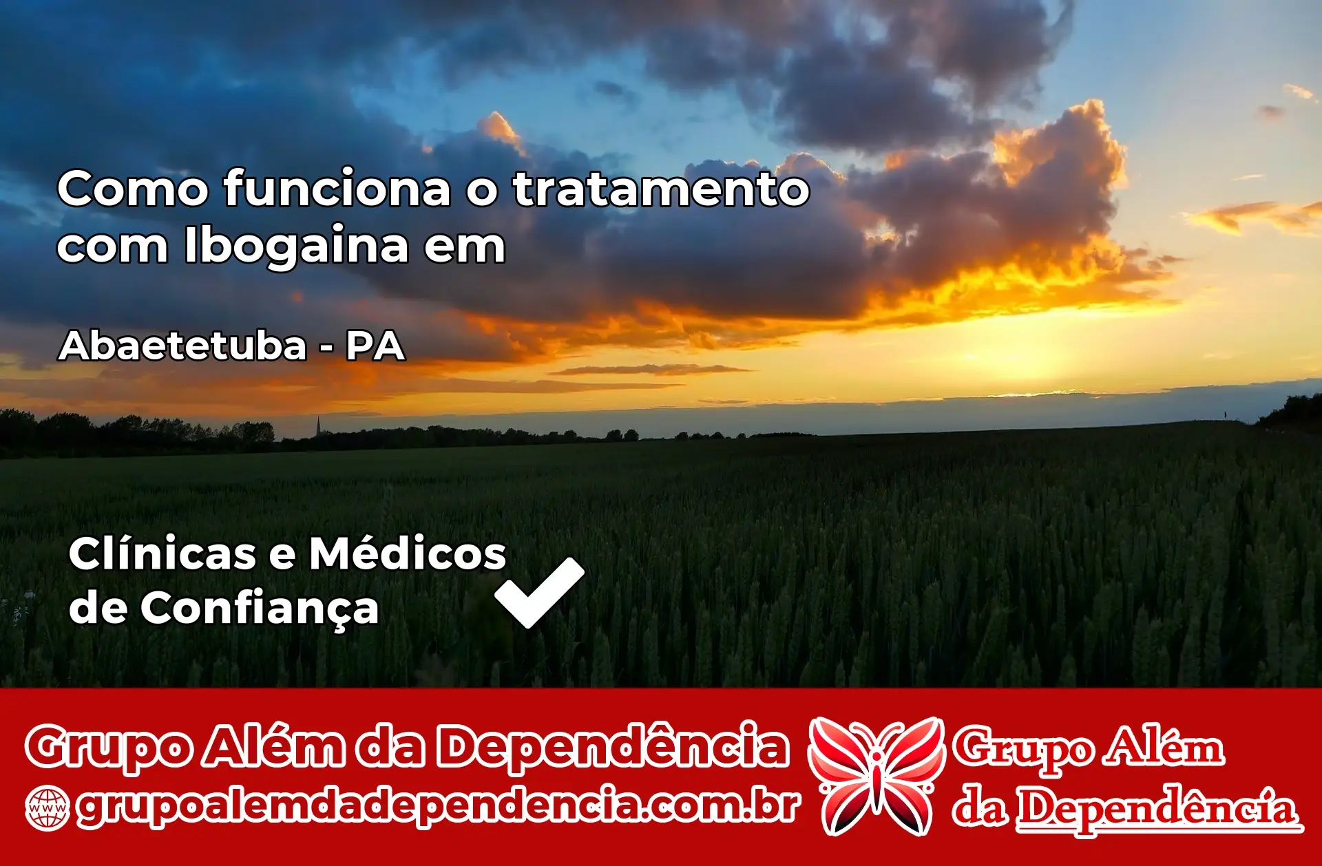 Como Funciona Ibogaína em Abaetetuba – PA