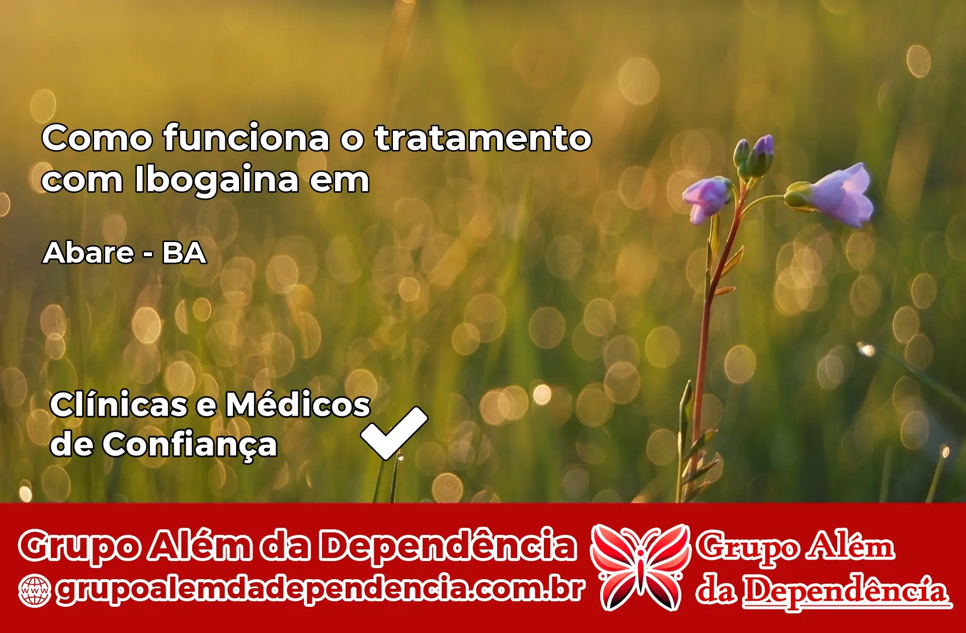 Como Funciona Ibogaína em Abaré – BA