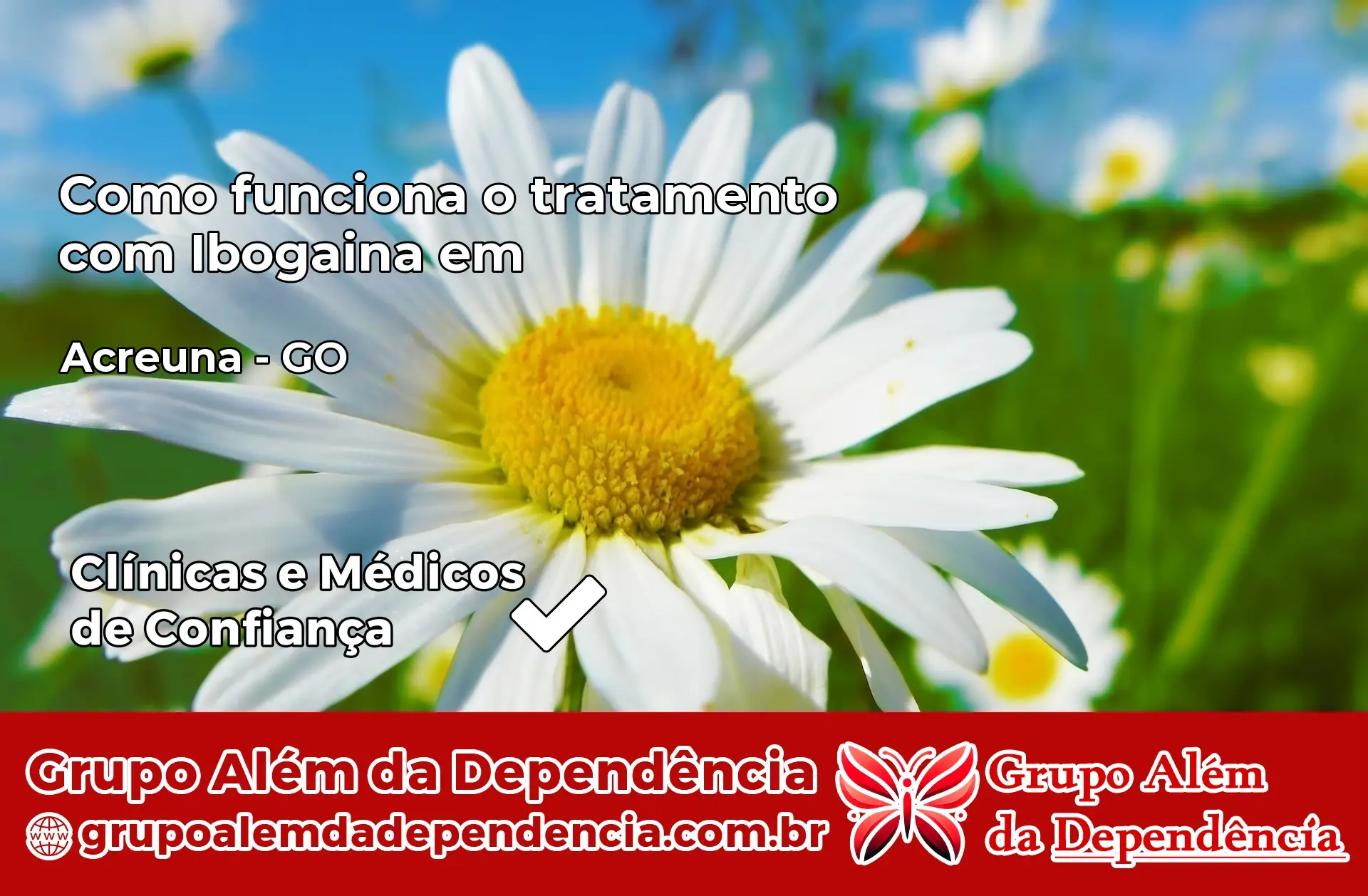 Como Funciona Ibogaína em Acreúna – GO