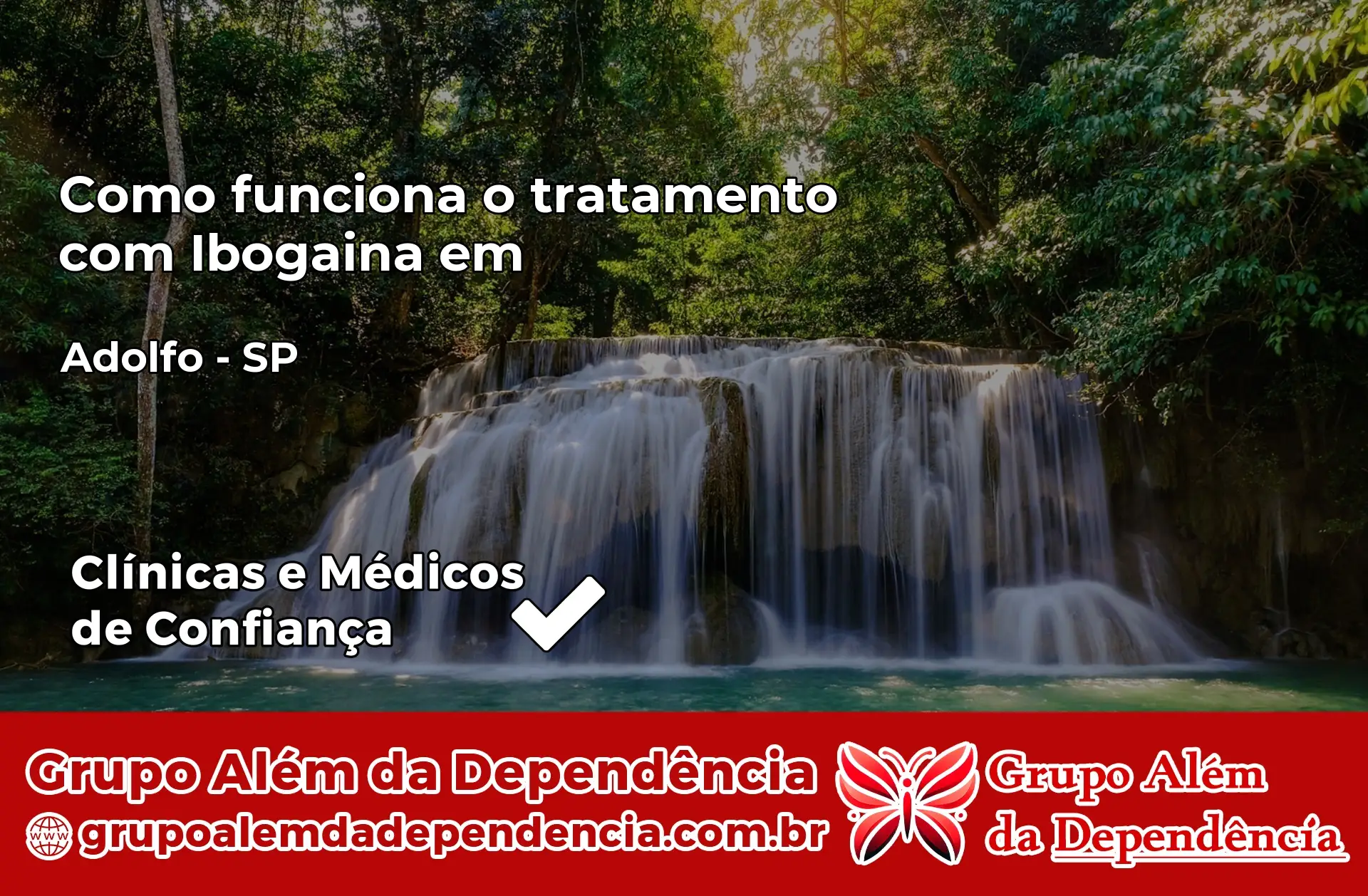 Como Funciona Ibogaína em Adolfo – SP