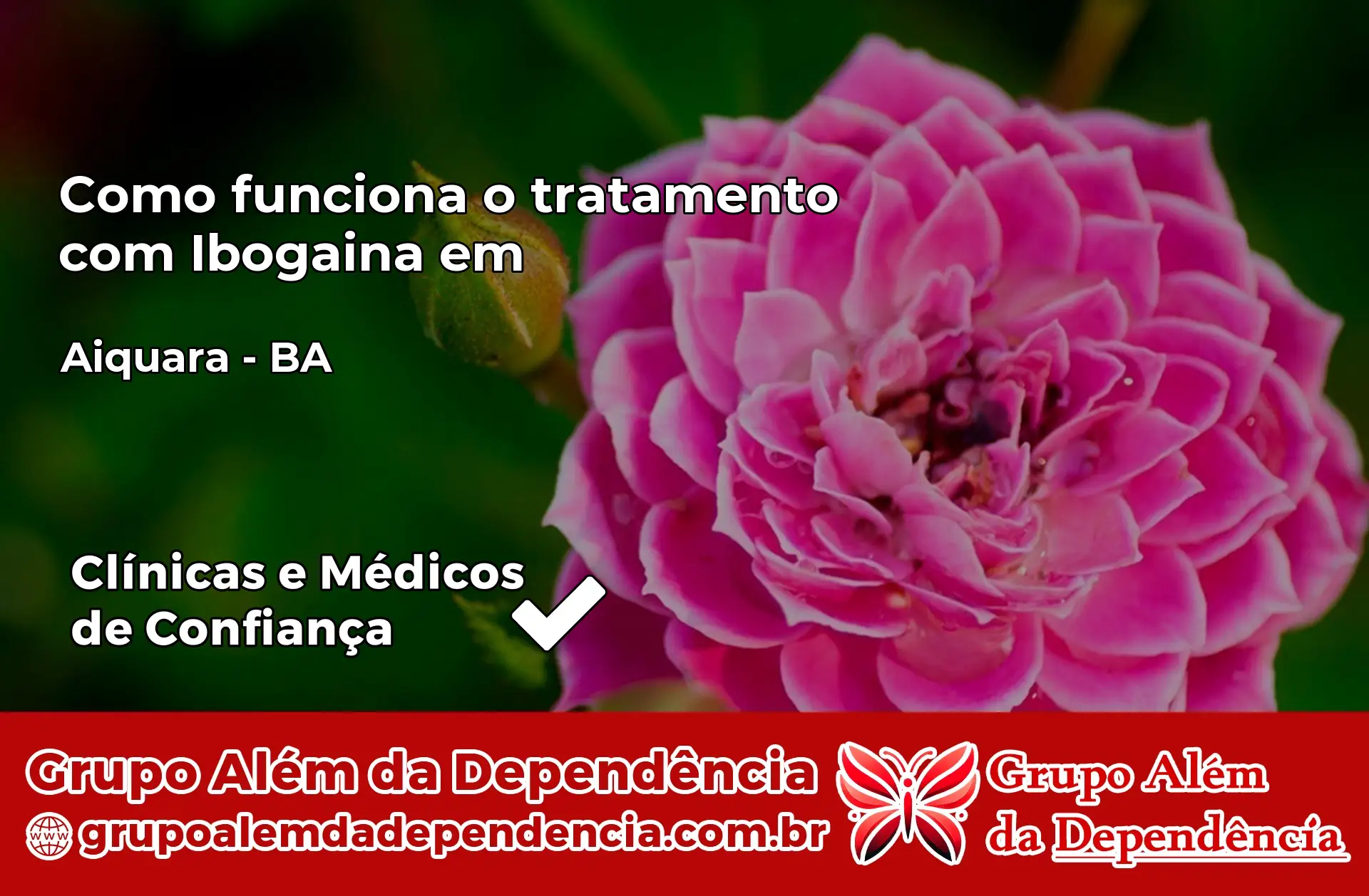 Como Funciona Ibogaína em Aiquara – BA