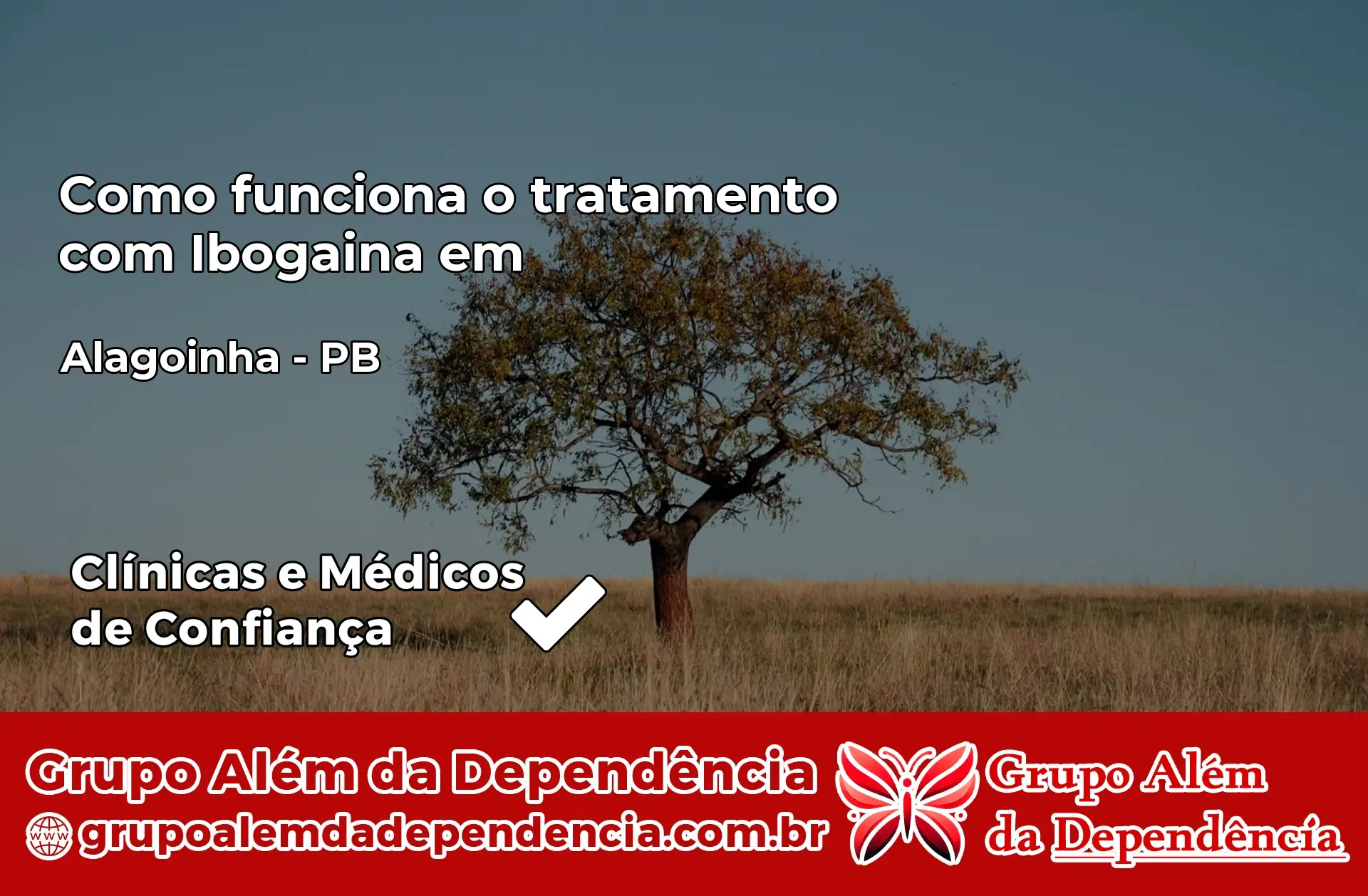 Como Funciona Ibogaína em Alagoinha – PB