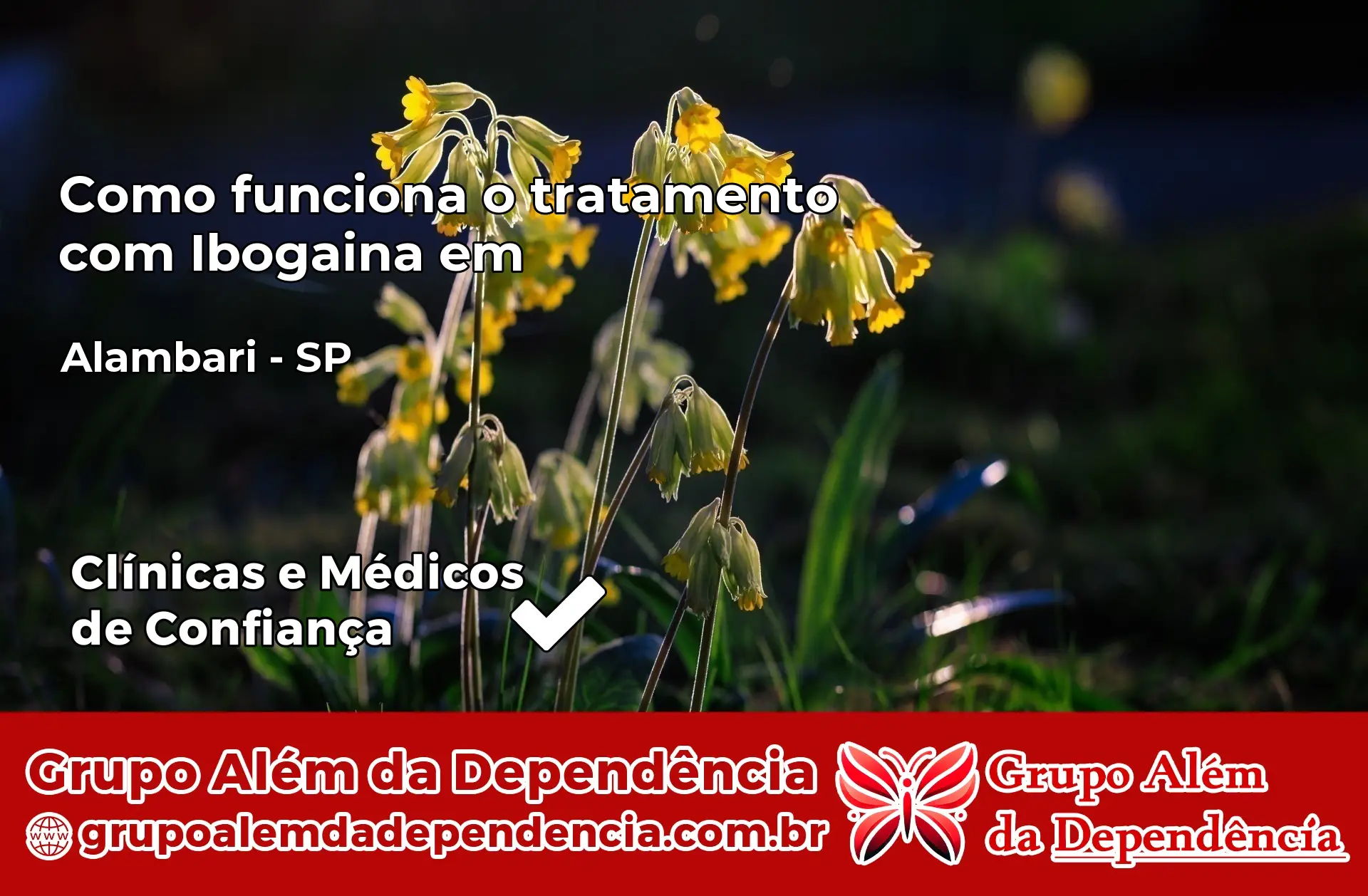 Como Funciona Ibogaína em Alambari – SP