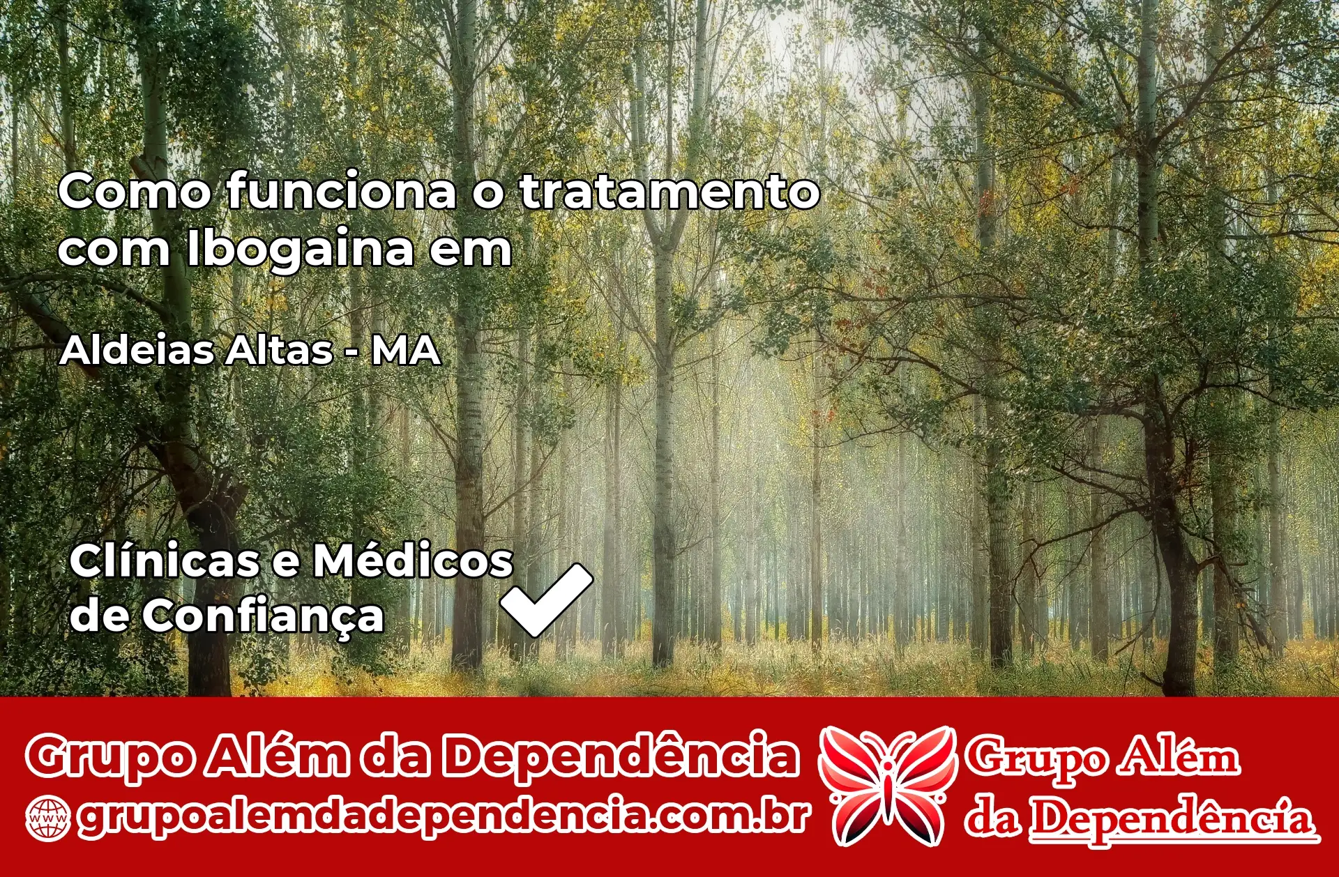 Como Funciona Ibogaína em Aldeias Altas – MA