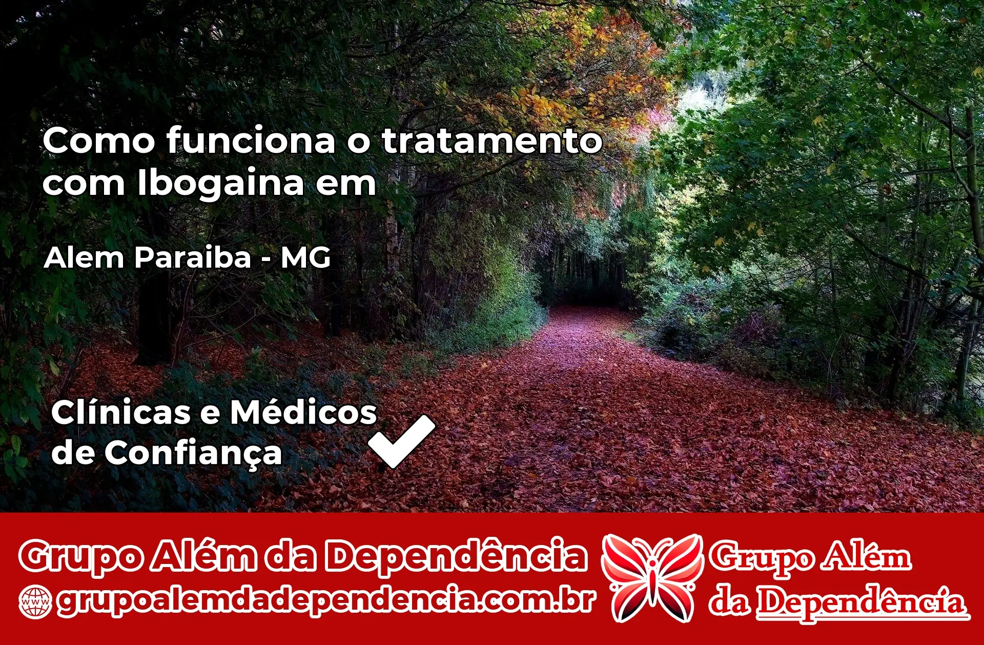 Como Funciona Ibogaína em Além Paraíba – MG