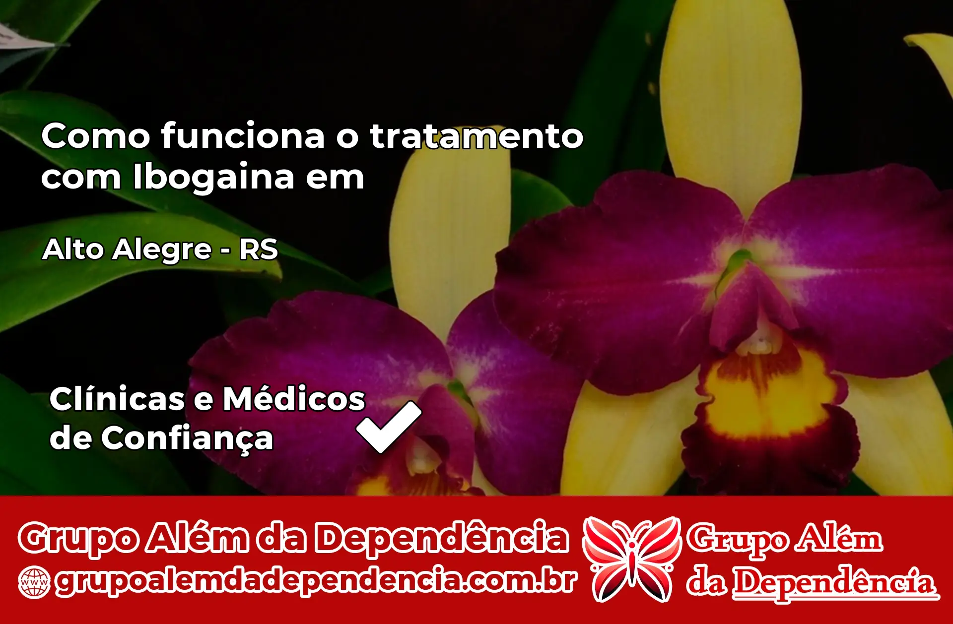 Como Funciona Ibogaína em Alto Alegre – RS