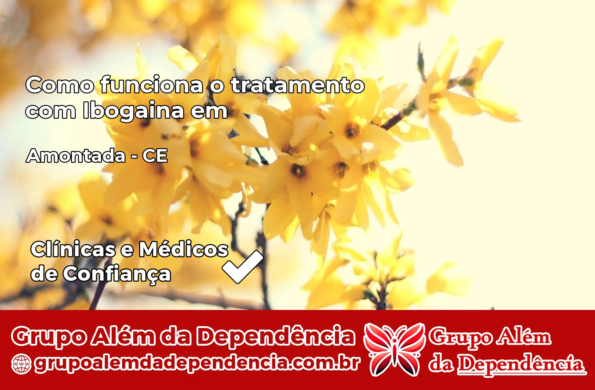 Como Funciona Ibogaína em Amontada – CE