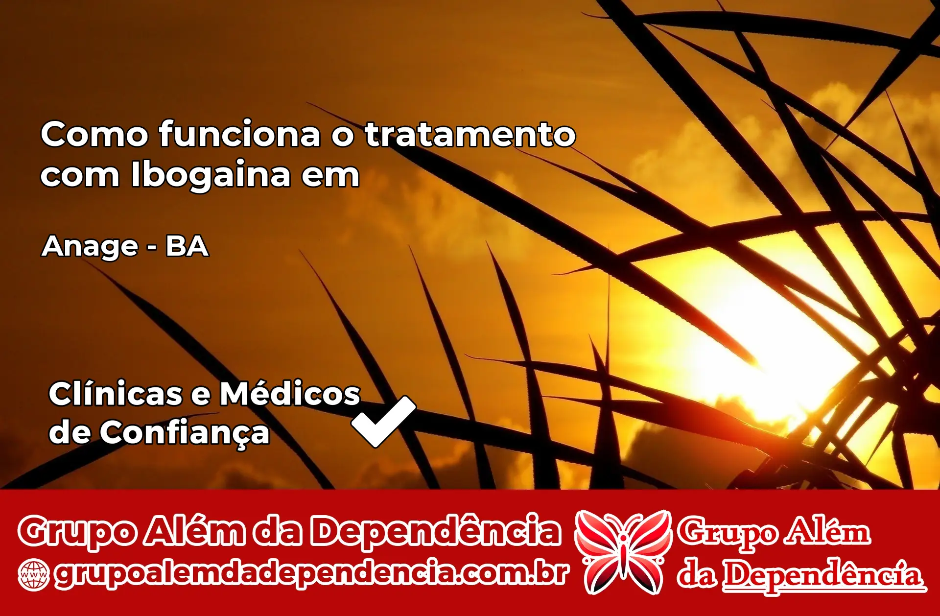 Como Funciona Ibogaína em Anagé – BA