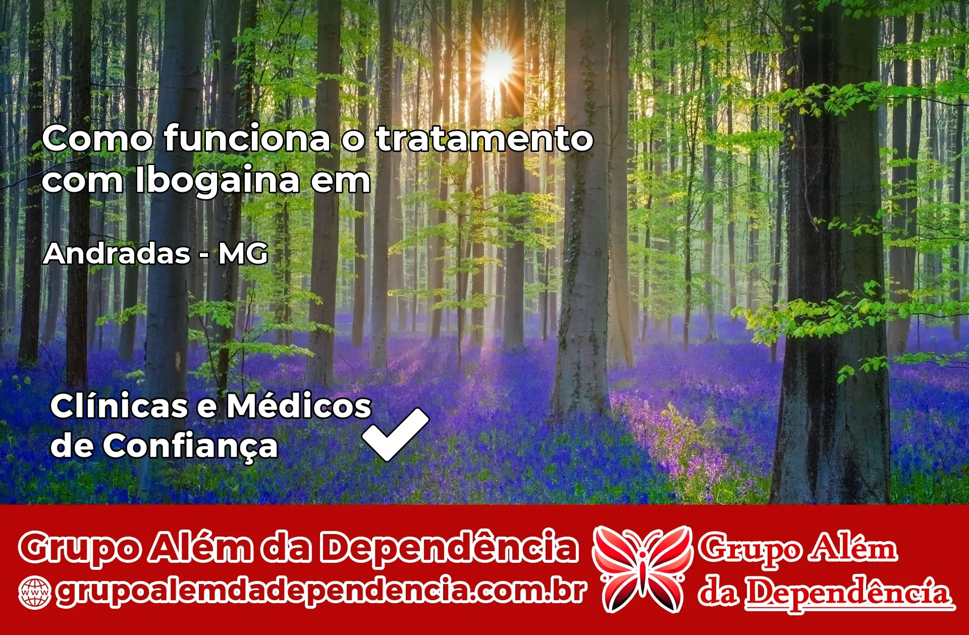 Como Funciona Ibogaína em Andradas – MG