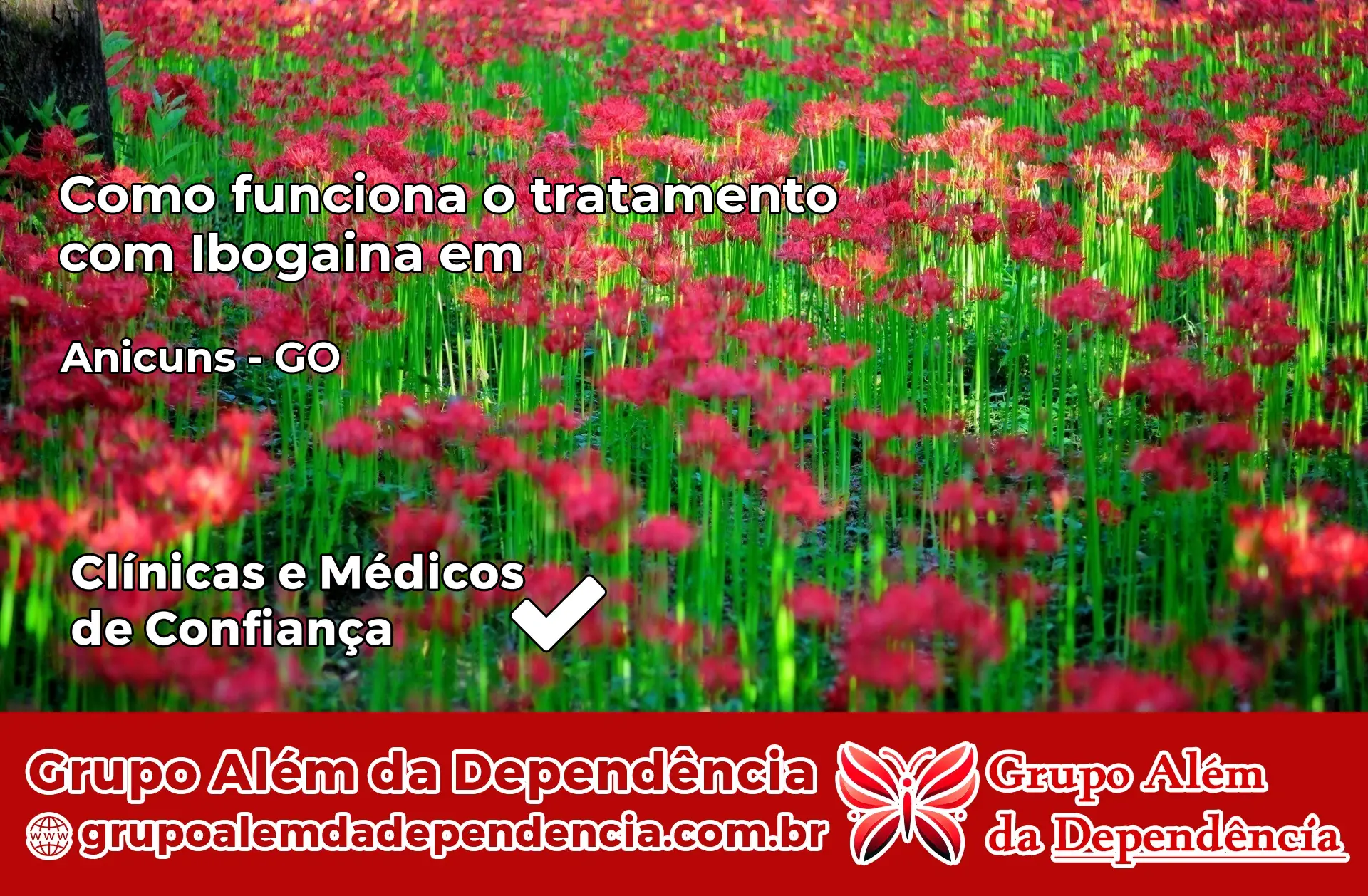 Como Funciona Ibogaína em Anicuns – GO