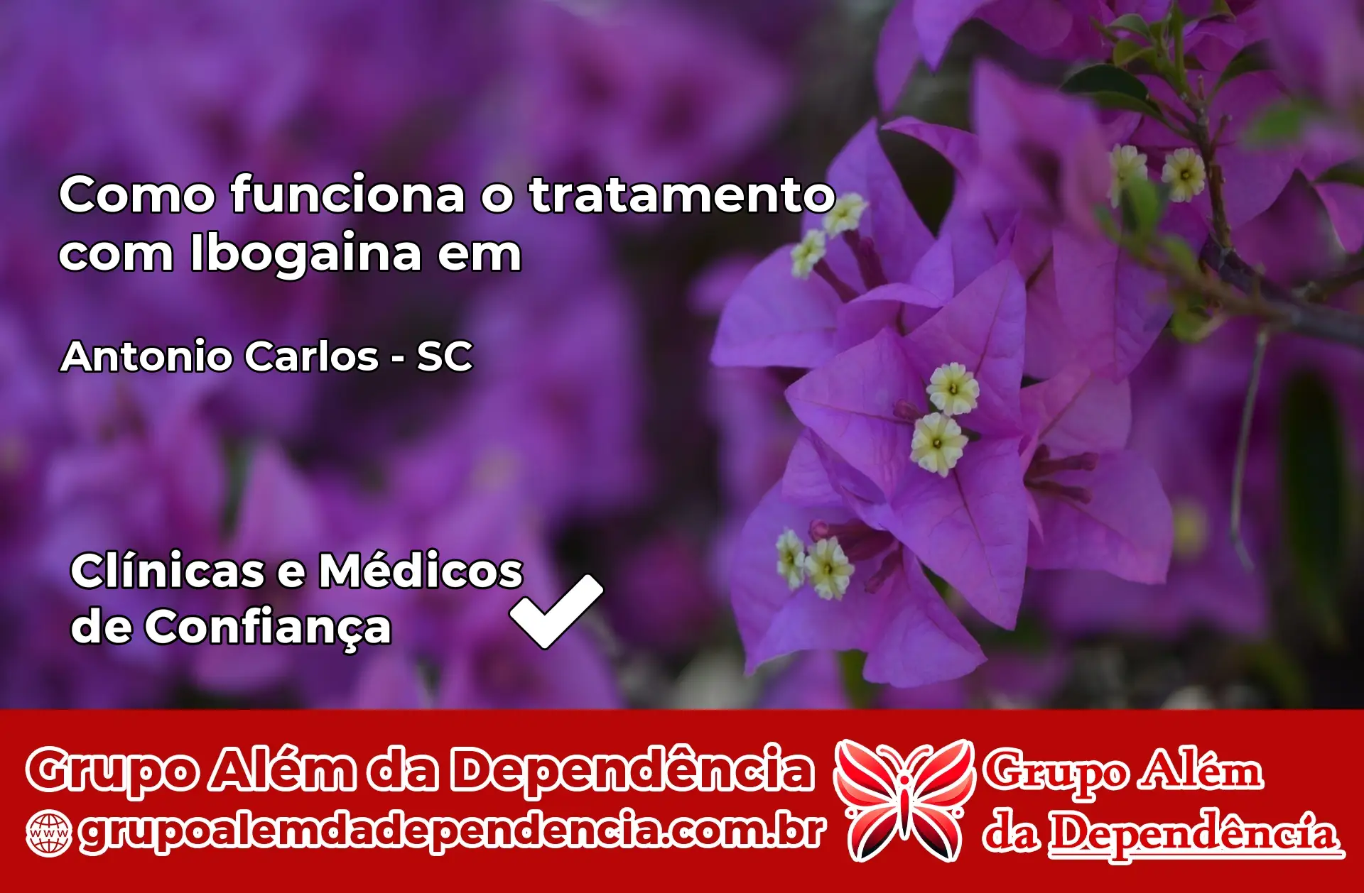 Como Funciona Ibogaína em Antônio Carlos – SC