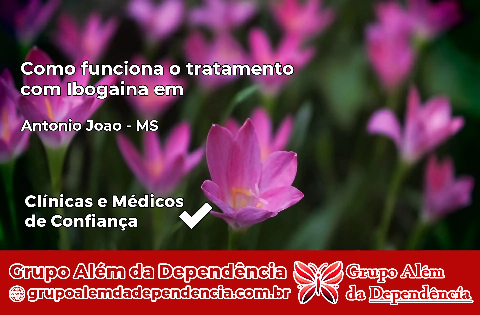 Como Funciona Ibogaína em Antônio João – MS