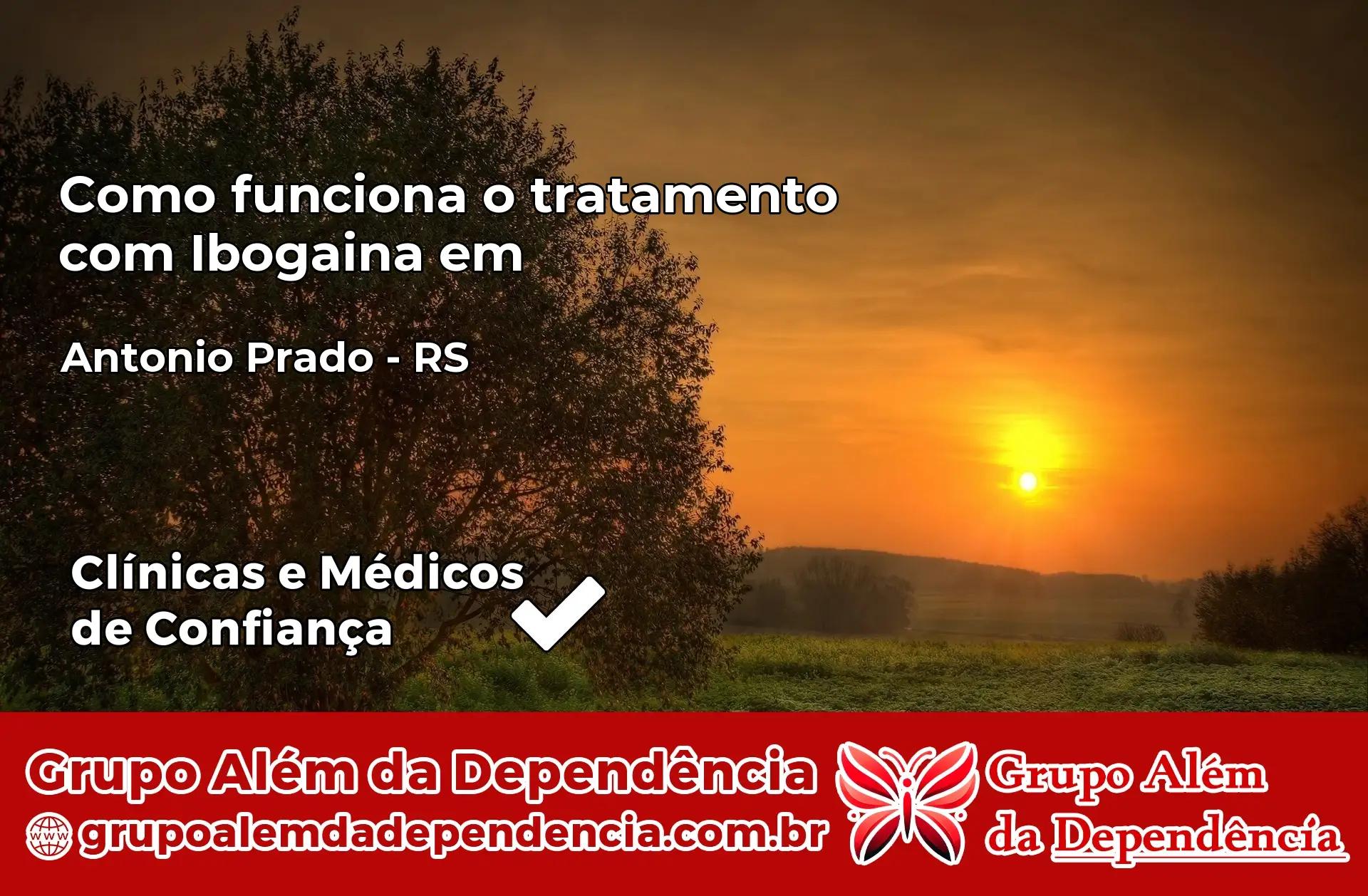 Como Funciona Ibogaína em Antônio Prado – RS
