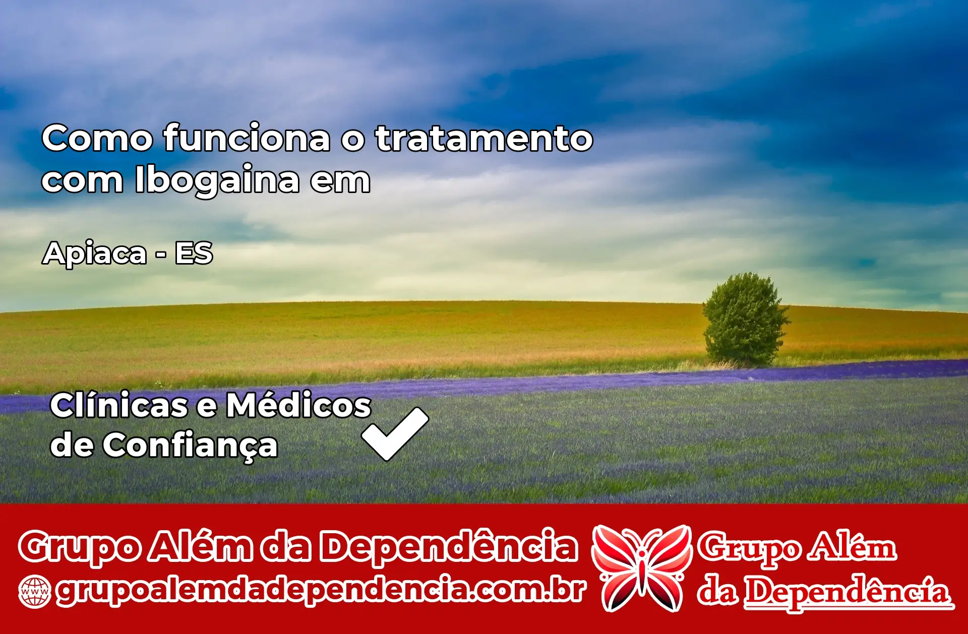 Como Funciona Ibogaína em Apiacá – ES