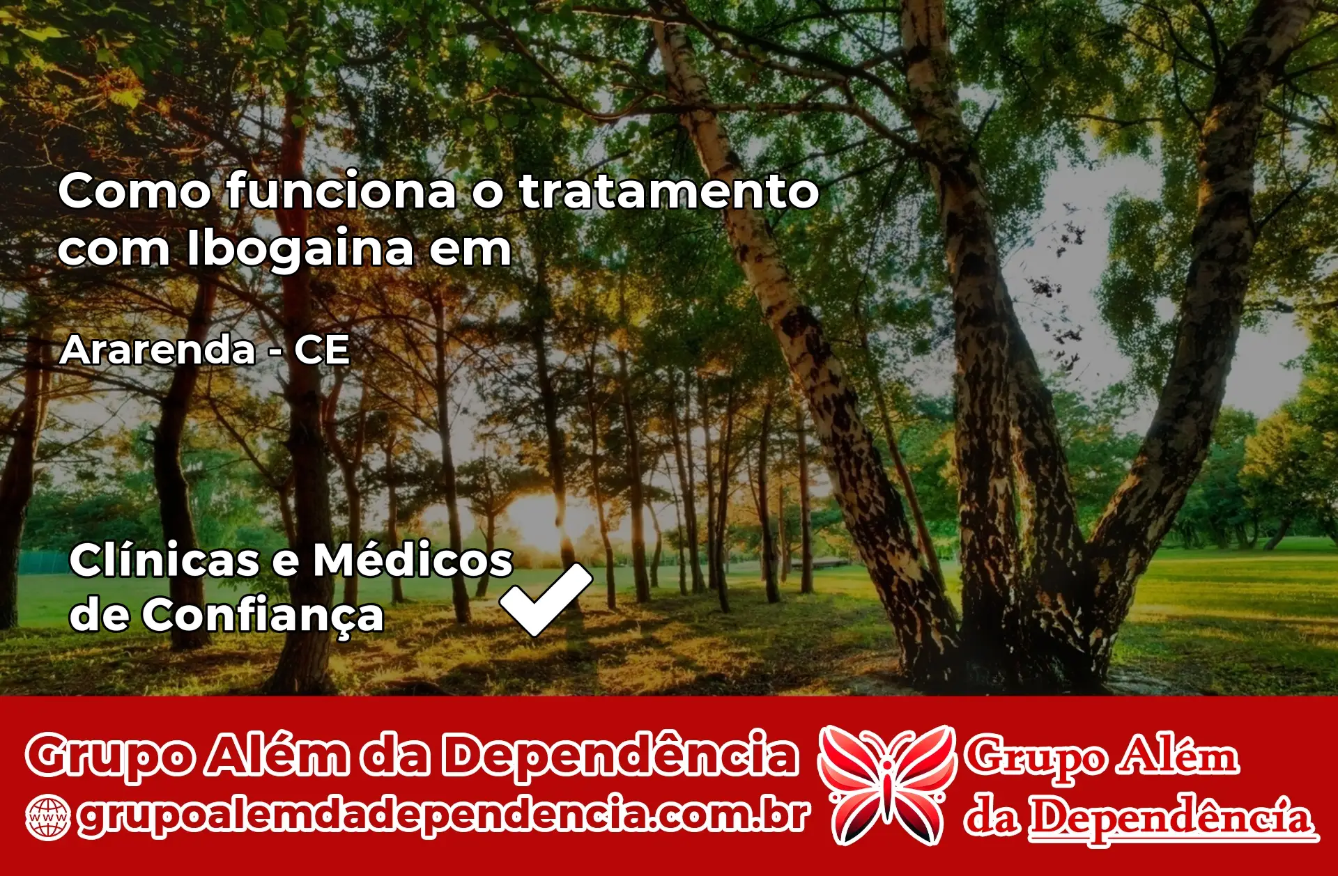 Como Funciona Ibogaína em Ararendá – CE