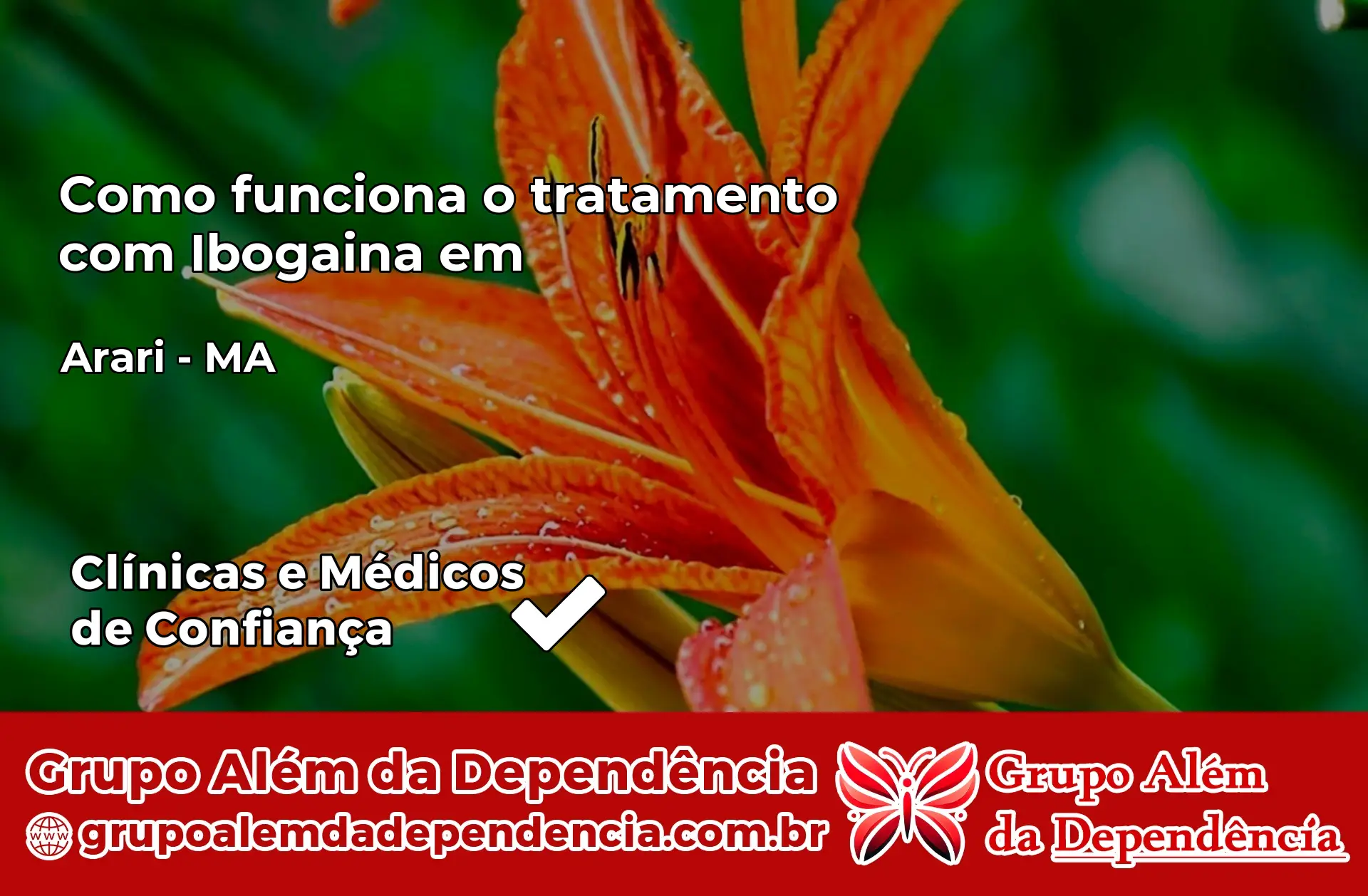 Como Funciona Ibogaína em Arari – MA