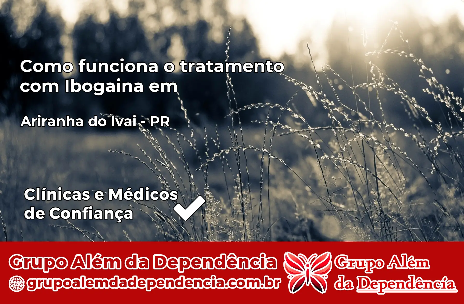 Como Funciona Ibogaína em Ariranha do Ivaí – PR