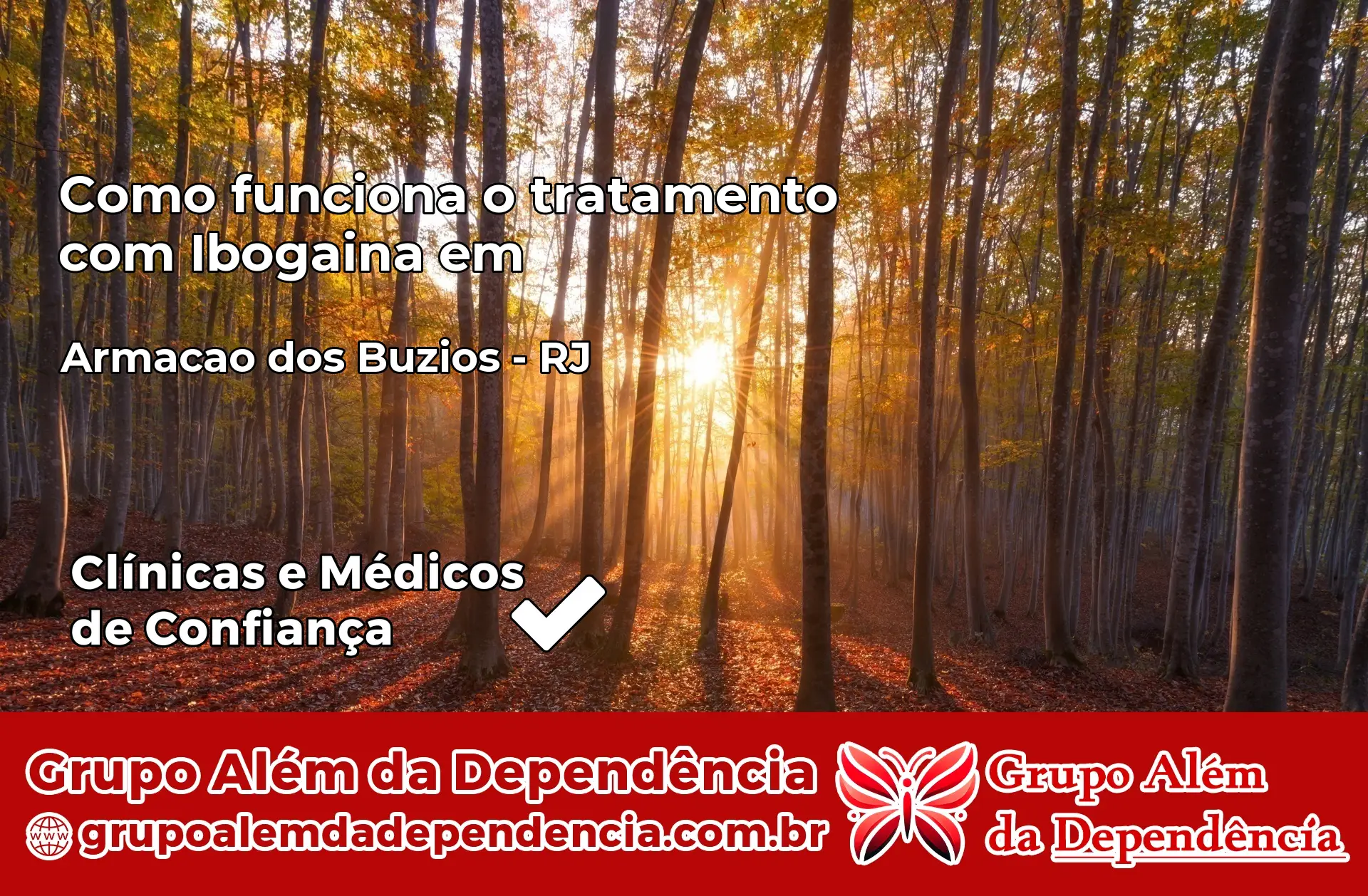 Como Funciona Ibogaína em Armação dos Búzios – RJ