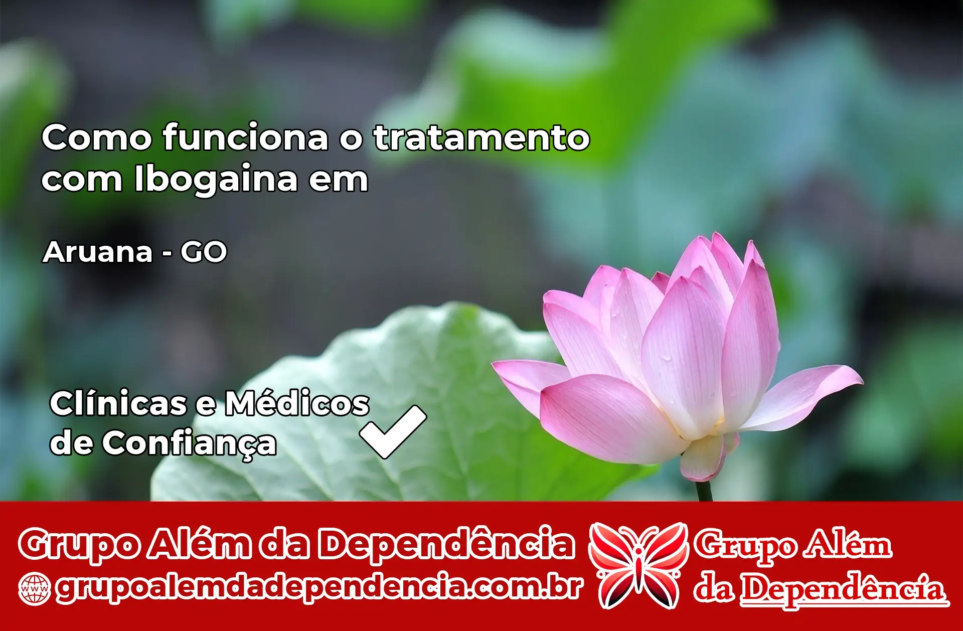 Como Funciona Ibogaína em Aruanã – GO
