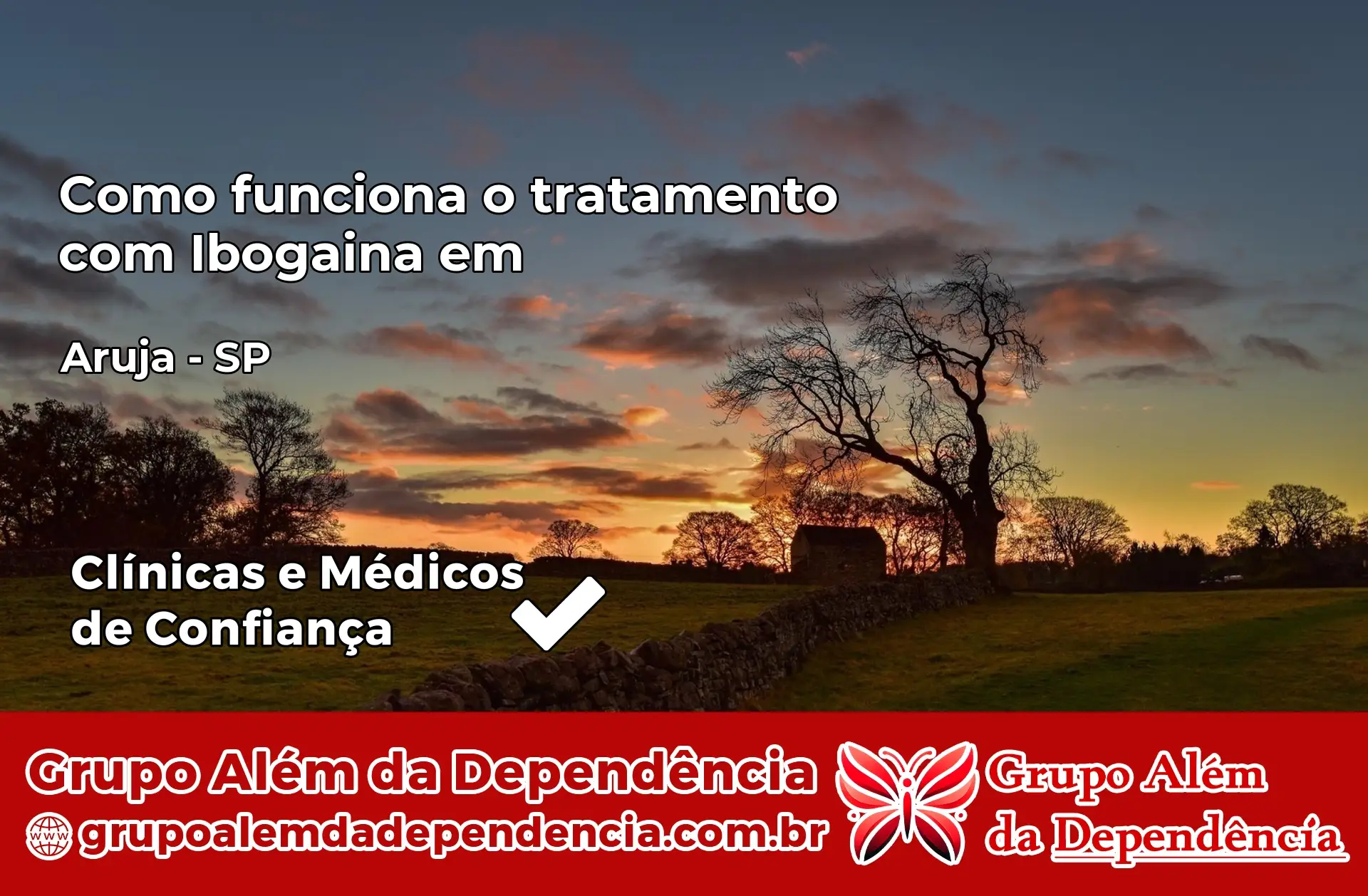 Como Funciona Ibogaína em Arujá – SP
