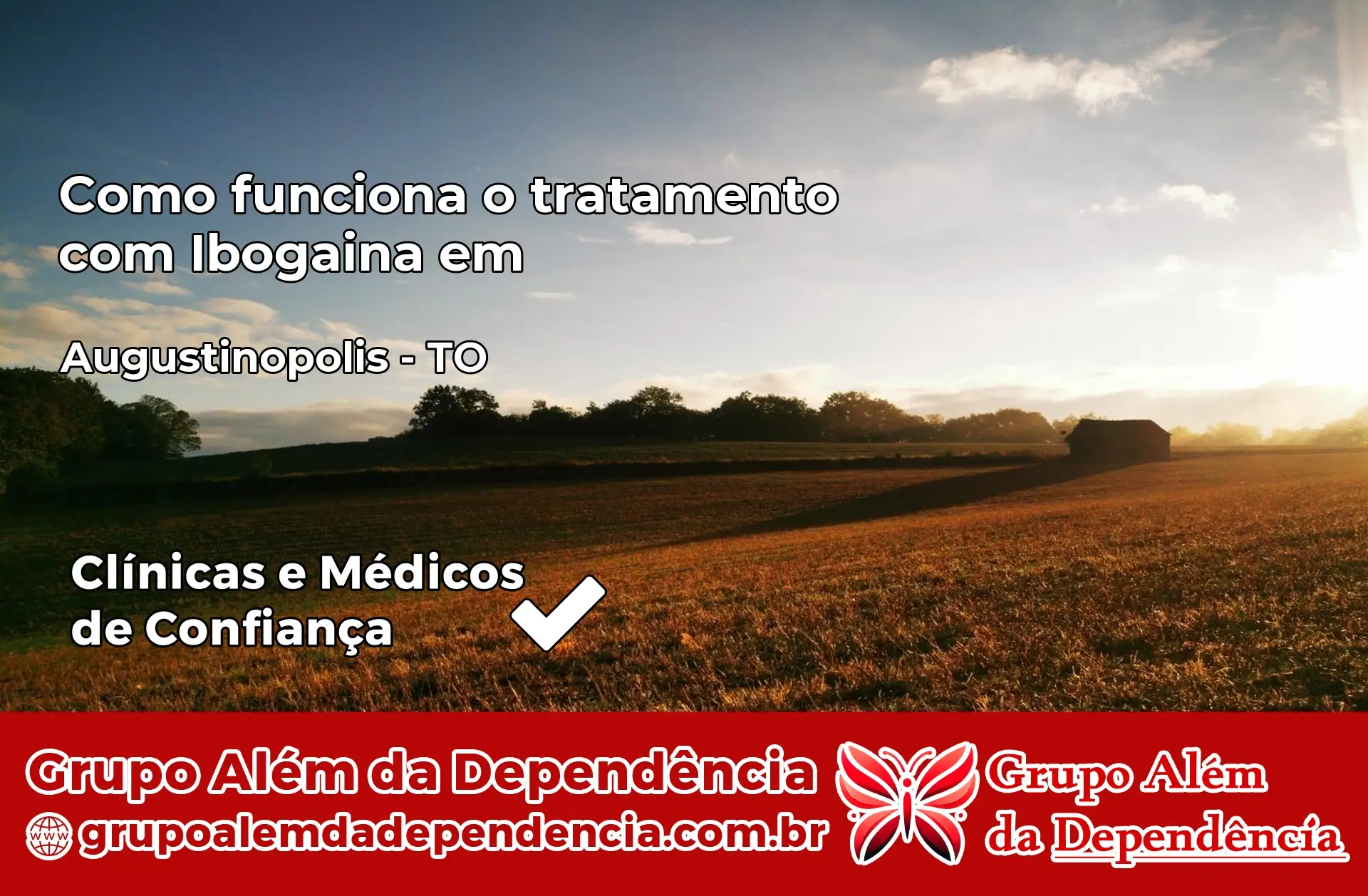 Como Funciona Ibogaína em Augustinópolis – TO