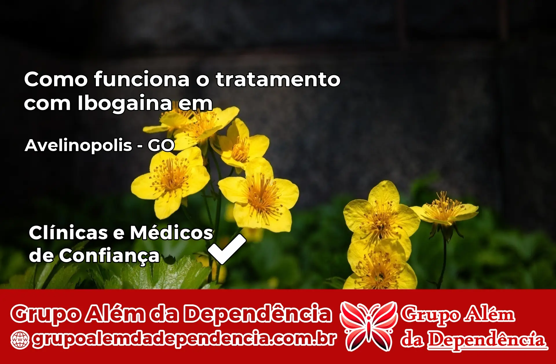 Como Funciona Ibogaína em Avelinópolis – GO