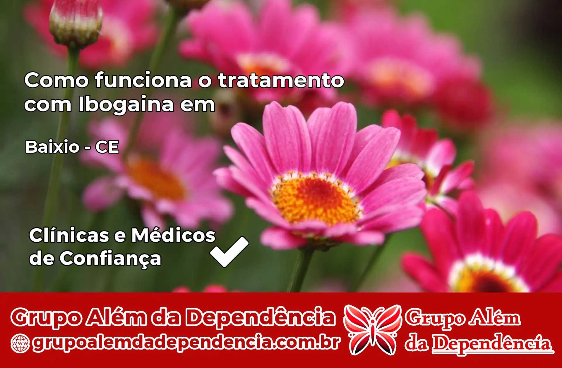 Como Funciona Ibogaína em Baixio – CE