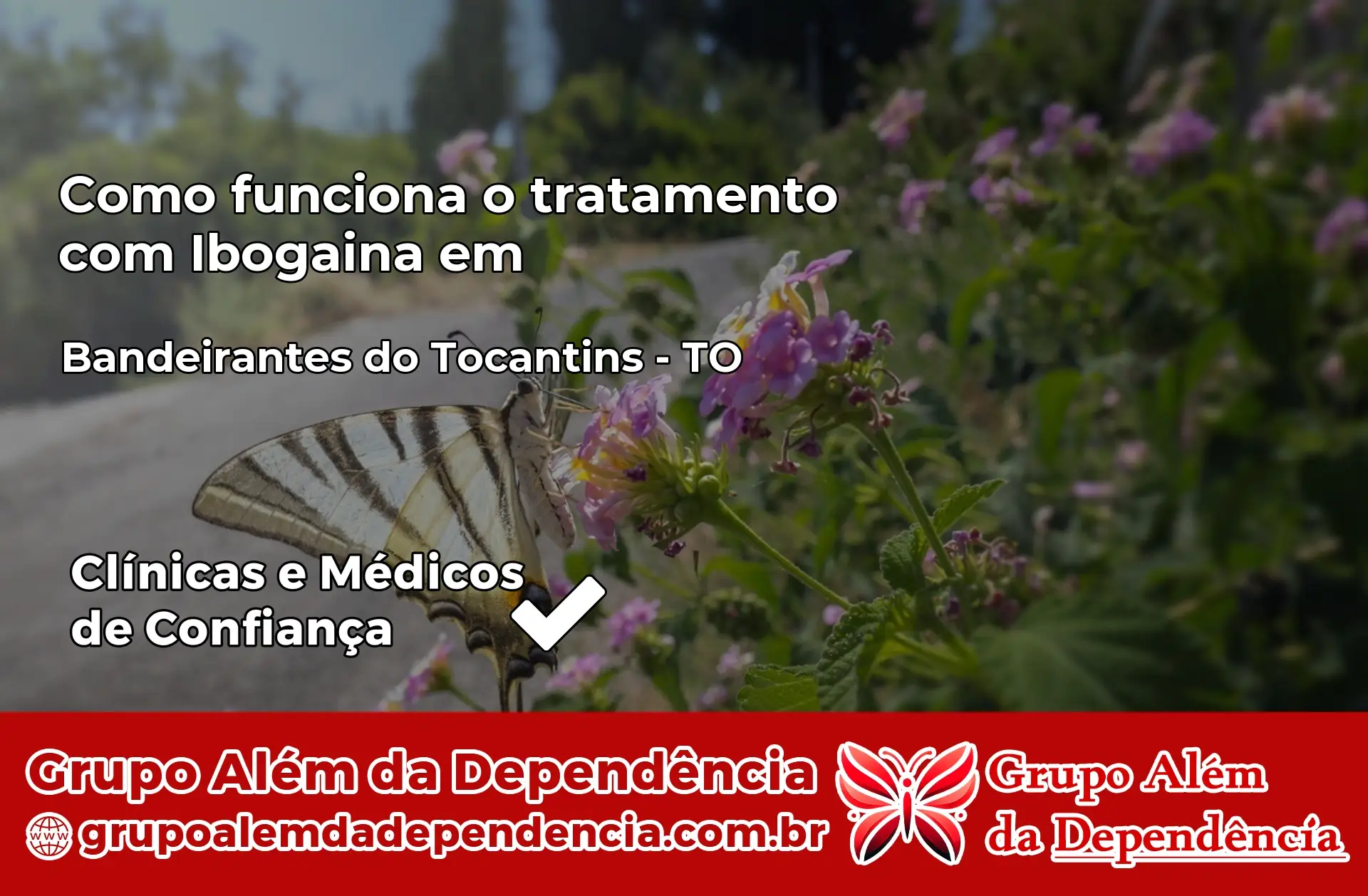 Como Funciona Ibogaína em Bandeirantes do Tocantins – TO