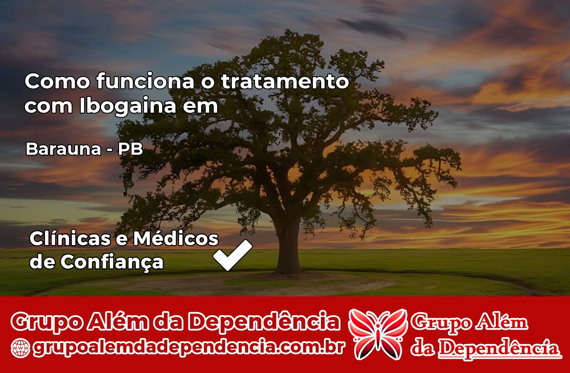 Como Funciona Ibogaína em Baraúna – PB