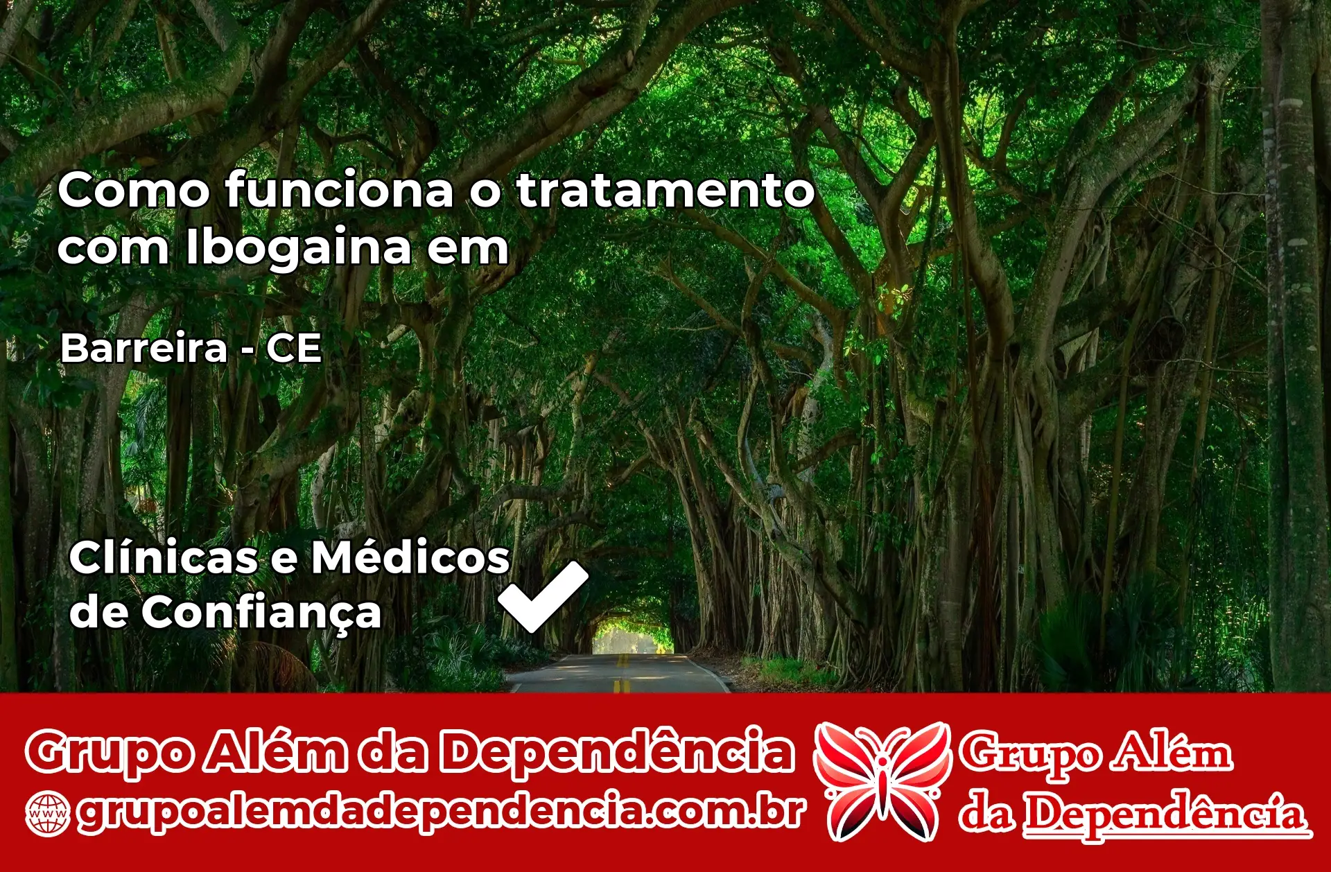 Como Funciona Ibogaína em Barreira – CE