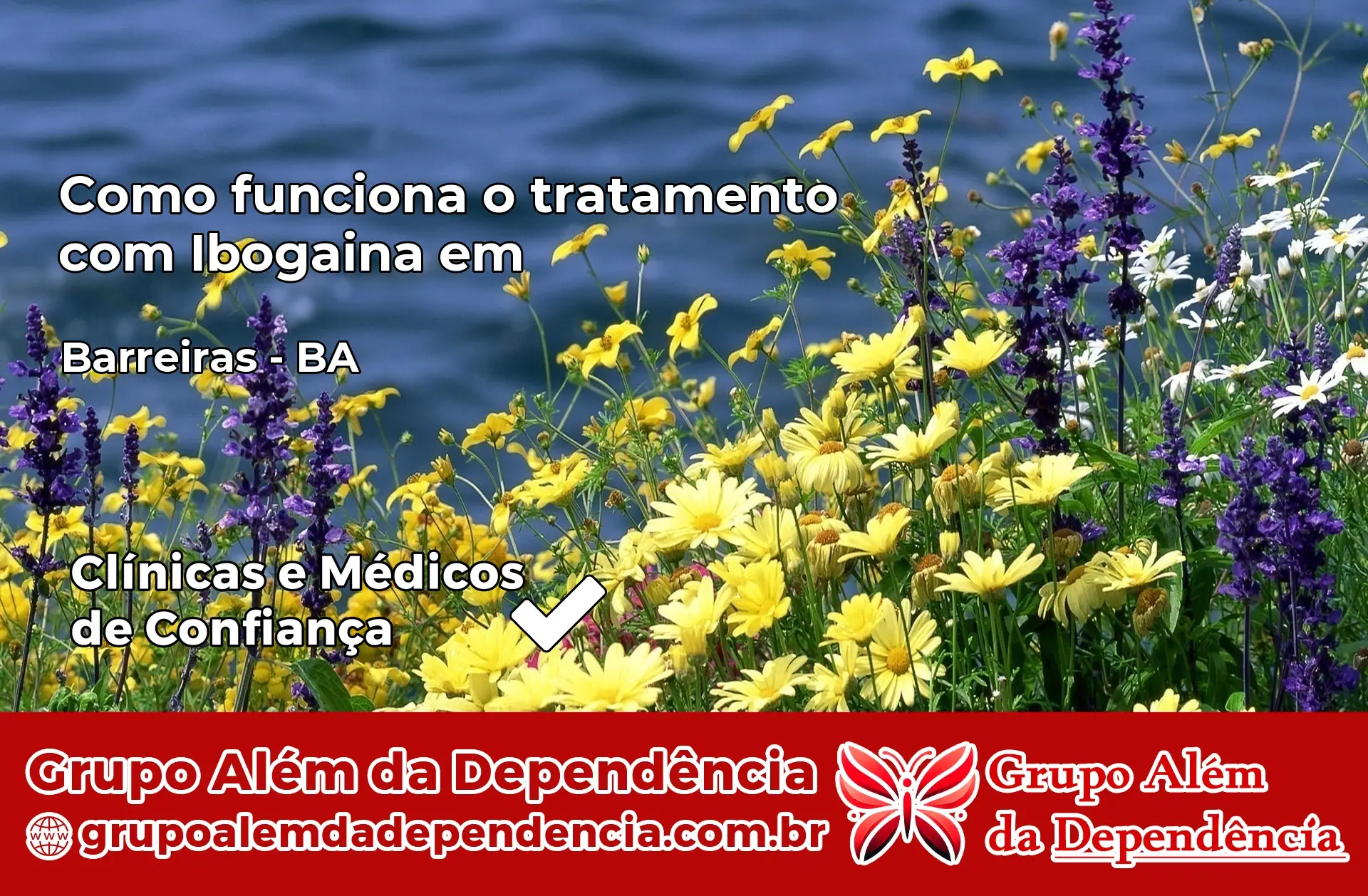 Como Funciona Ibogaína em Barreiras – BA
