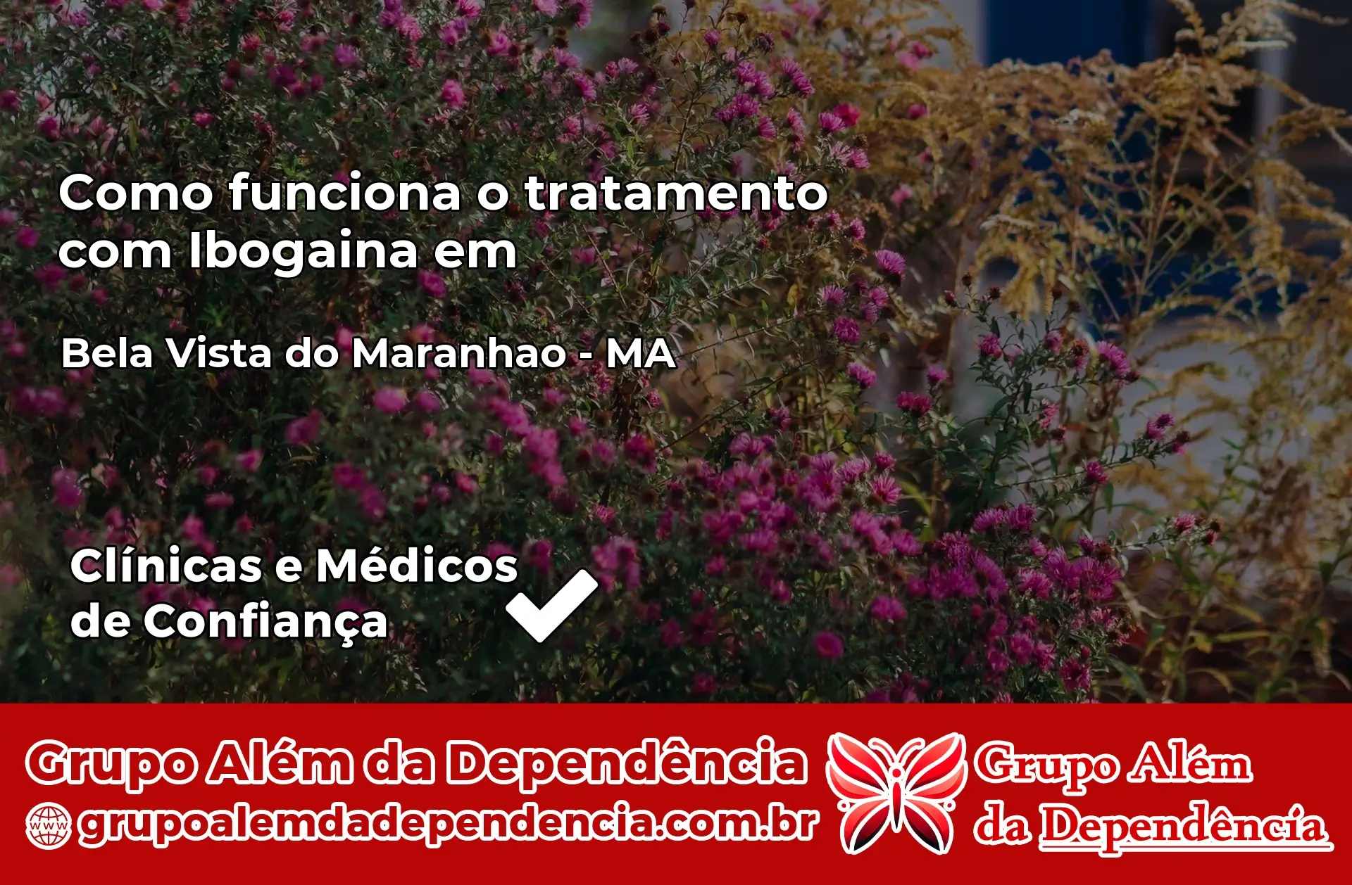 Como Funciona Ibogaína em Bela Vista do Maranhão – MA