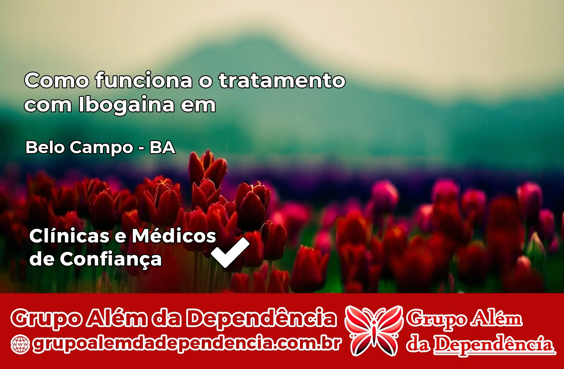 Como Funciona Ibogaína em Belo Campo – BA