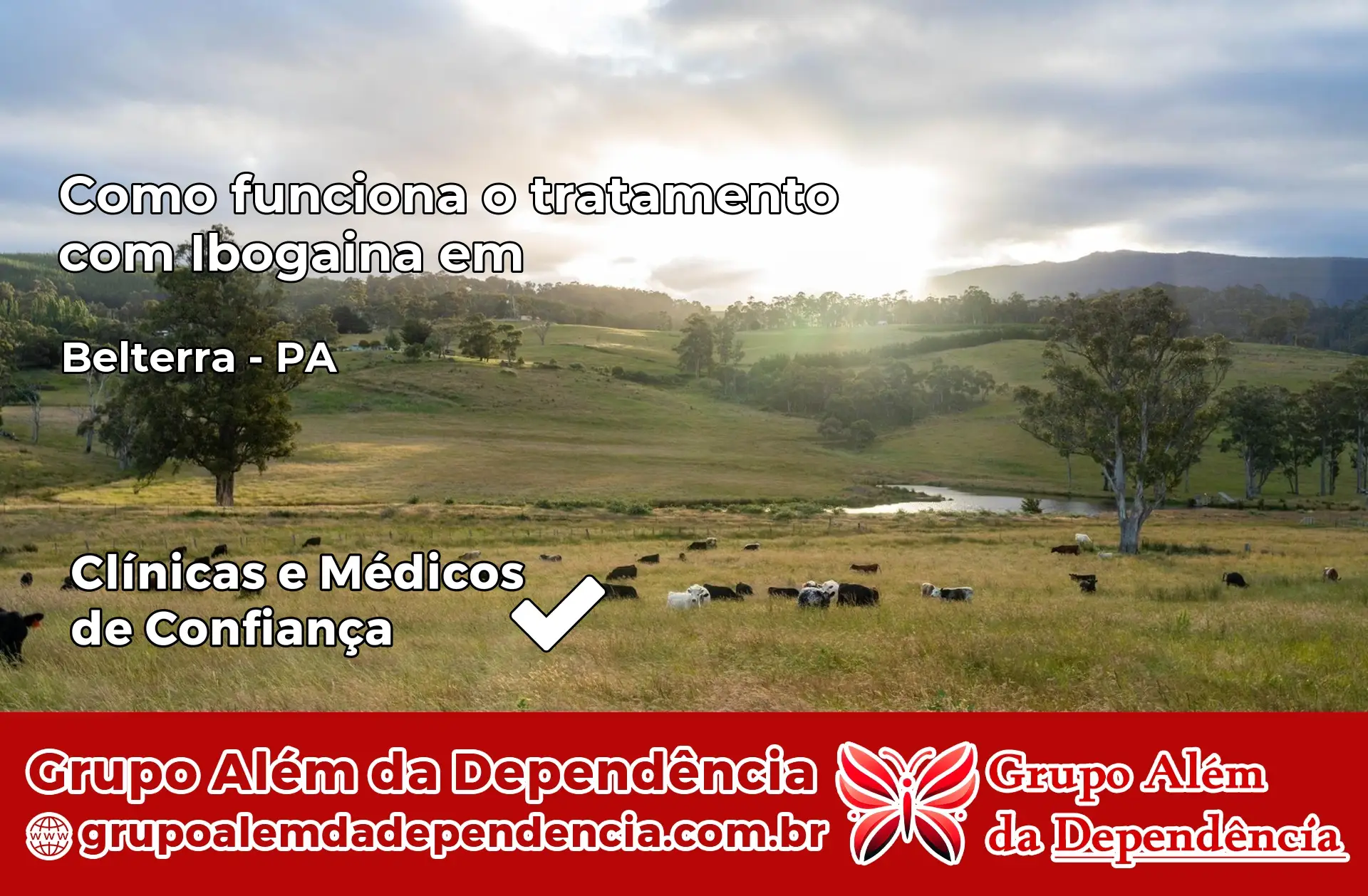 Como Funciona Ibogaína em Belterra – PA