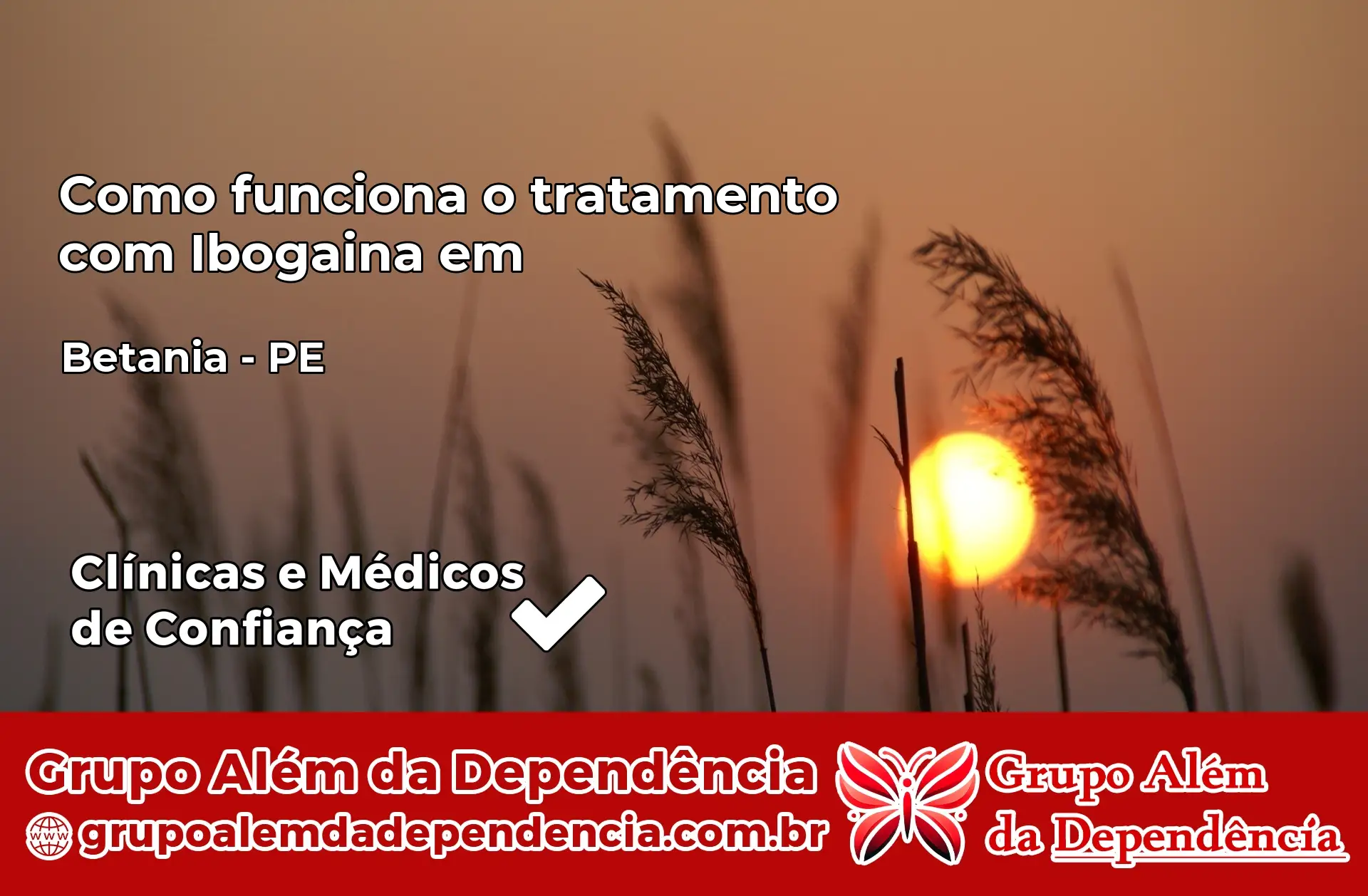 Como Funciona Ibogaína em Betânia – PE
